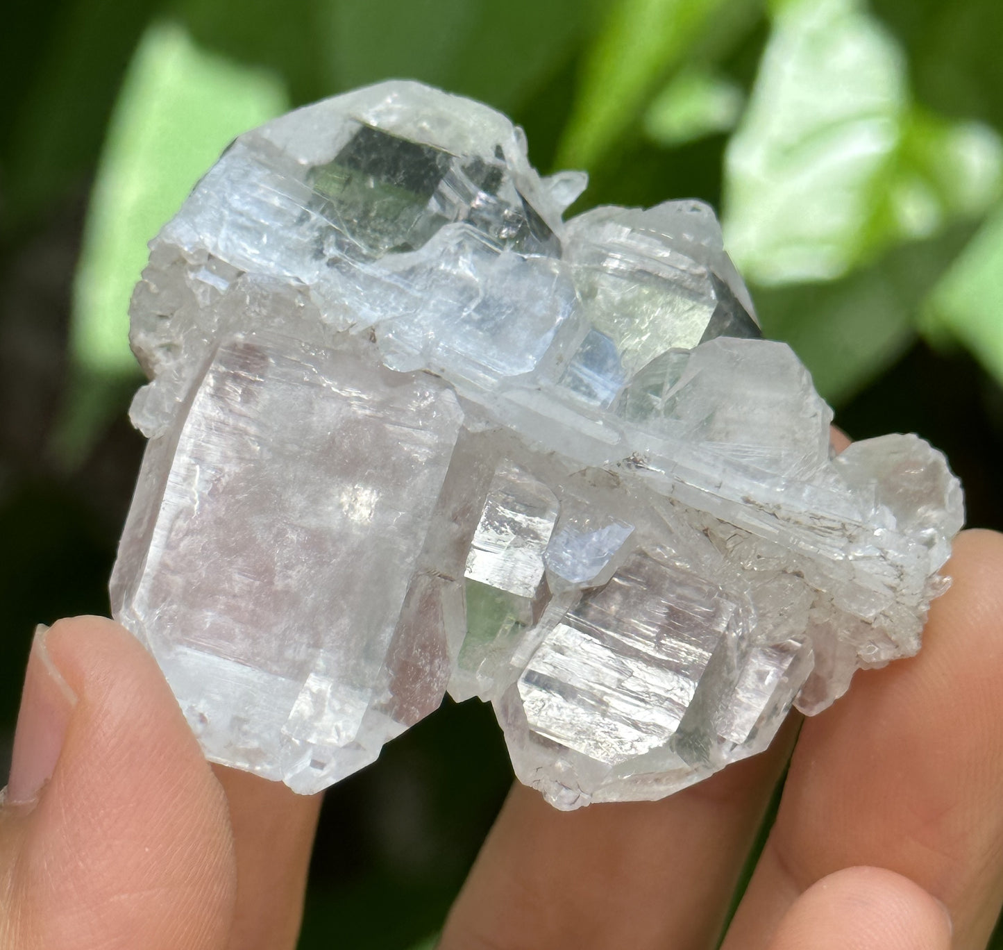 Clear Double Terminated Faden Tabular Quartz Crystal Cluster