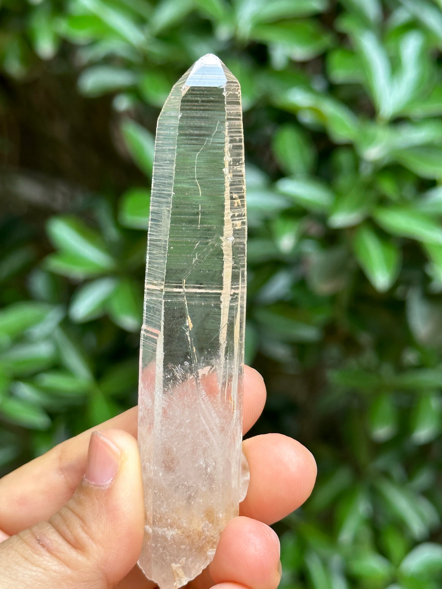 Perfect Clear Himalayan Lemurian Seed Quartz Crystal/Receiver Generator Quartz Crystal-102*19*13 mm  46 g