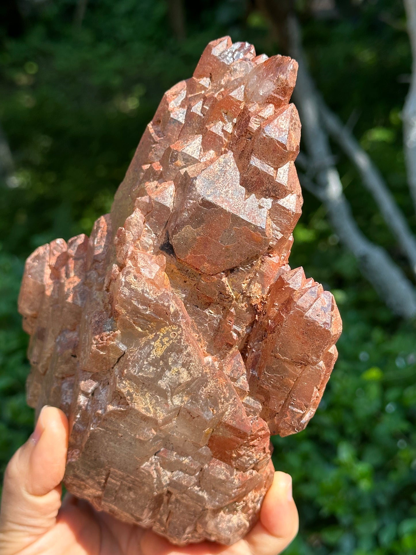 Rare Natural Double Terminated Hematite Elestial Strawberry Quartz Crystal Stone Decor/Old-mined Crystal Cluster/Mineral Specimen Collection/Red-999 g