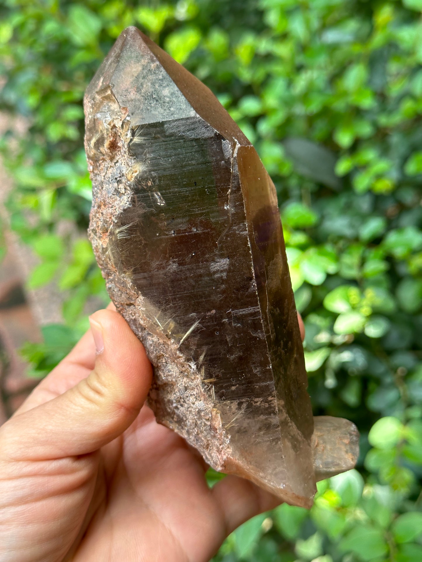 Time Links Smokey Quartz Crystal Point with Golden Rutile+Specularite Inclusion/Powerful Engergy Quartz /Healing Stone/Reiki/Chakra/Zen-541g