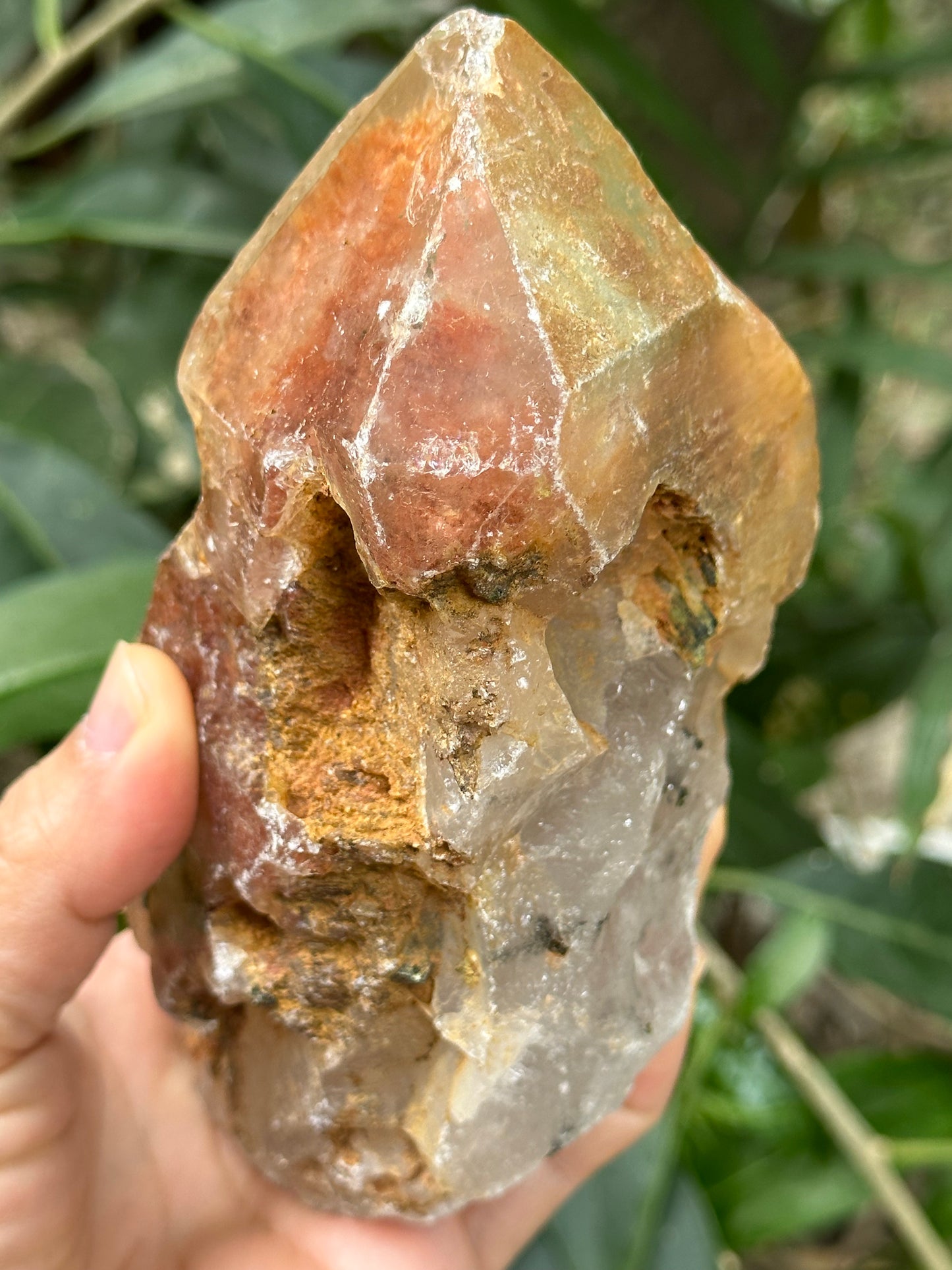 Rare Tangerine Amphibole & Green Tourmaline Grow with Quartz Crystal Point