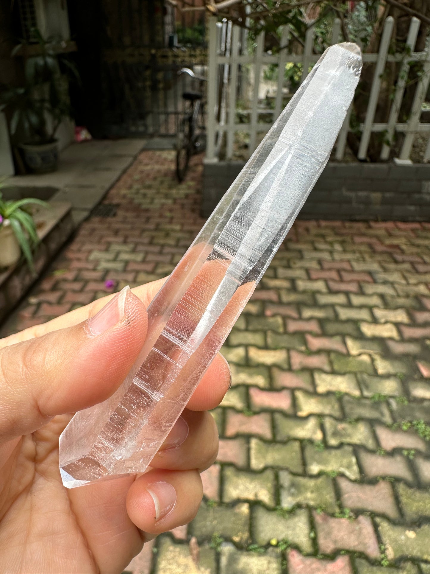 Double terminated Muzo Lemurian Seed Quartz Crystal Point/Laser Quartz/Quartz Crystal