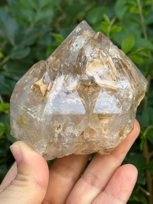 307 g Clear Himalayan Record-keeper Skeletal Quartz Fenster Crystal Cluster