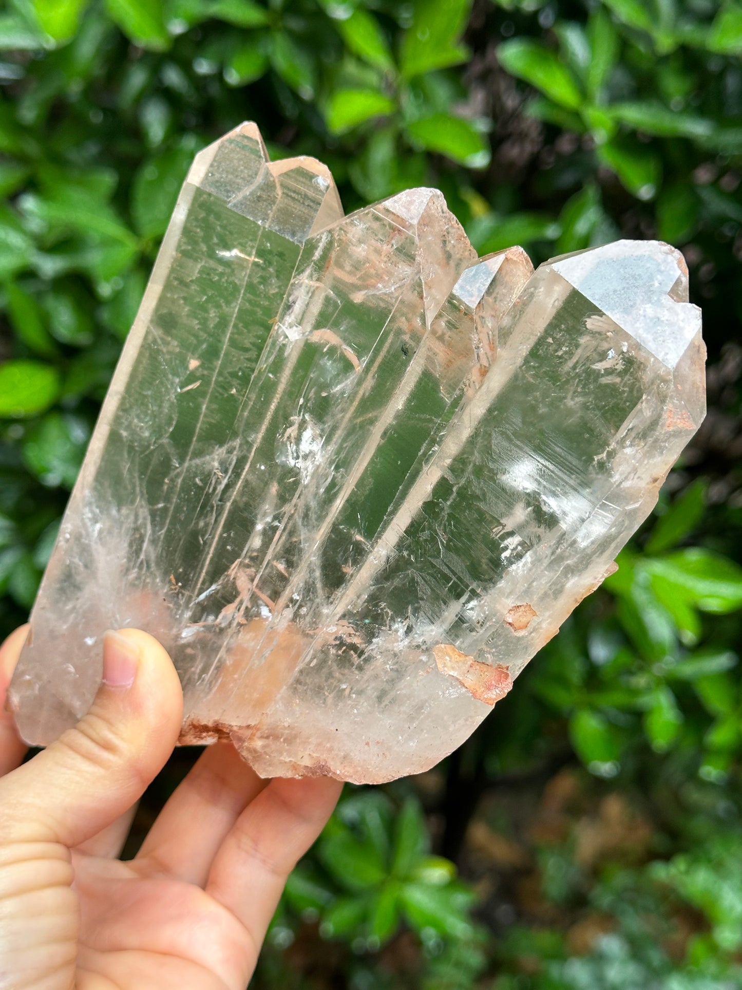 Rare Himalayan Tabular Multiple Quartz Crystals + wooden stand