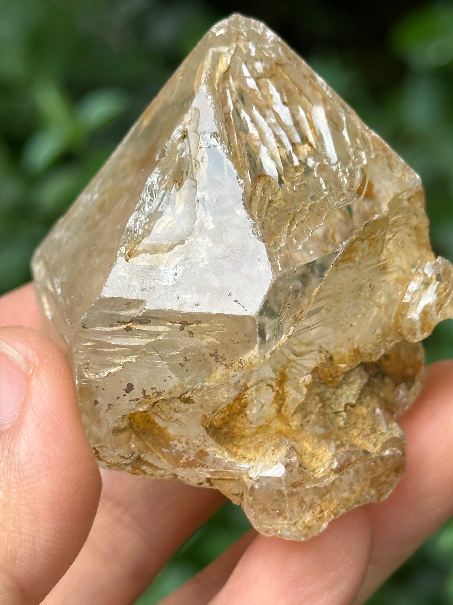 Natural Fenster Crystal Skeletal Quartz Point with golden soil-from Himalayas,Nirvana crystal/Energy Quartz-47*52*42 mm 101 g