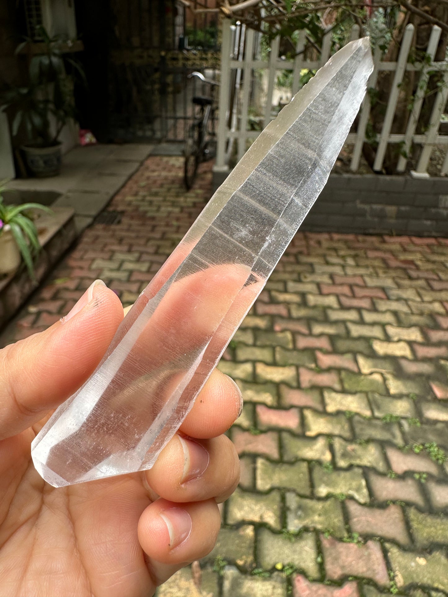 Double terminated Muzo Lemurian Seed Quartz Crystal Point/Laser Quartz/Quartz Crystal