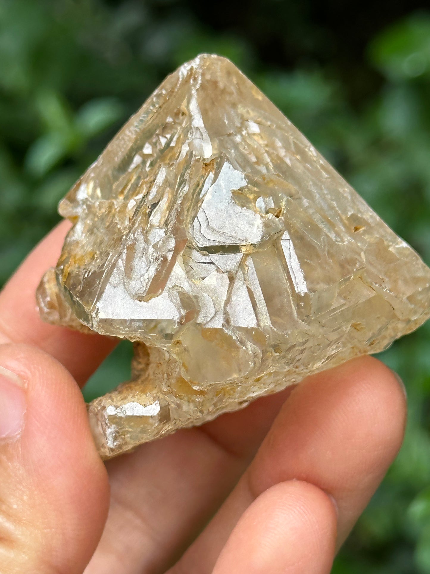 Natural Fenster Crystal Skeletal Quartz Point with golden soil-from Himalayas,Nirvana crystal/Energy Quartz-47*52*42 mm 101 g