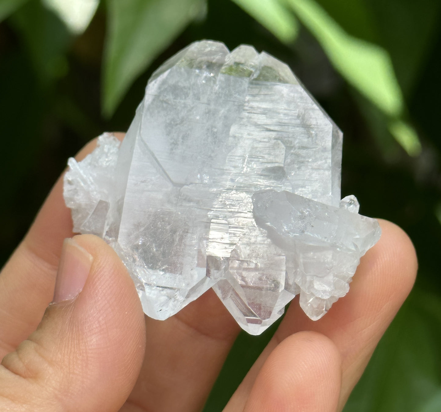 Clear Faden Quartz Tabular Crystal Cluster