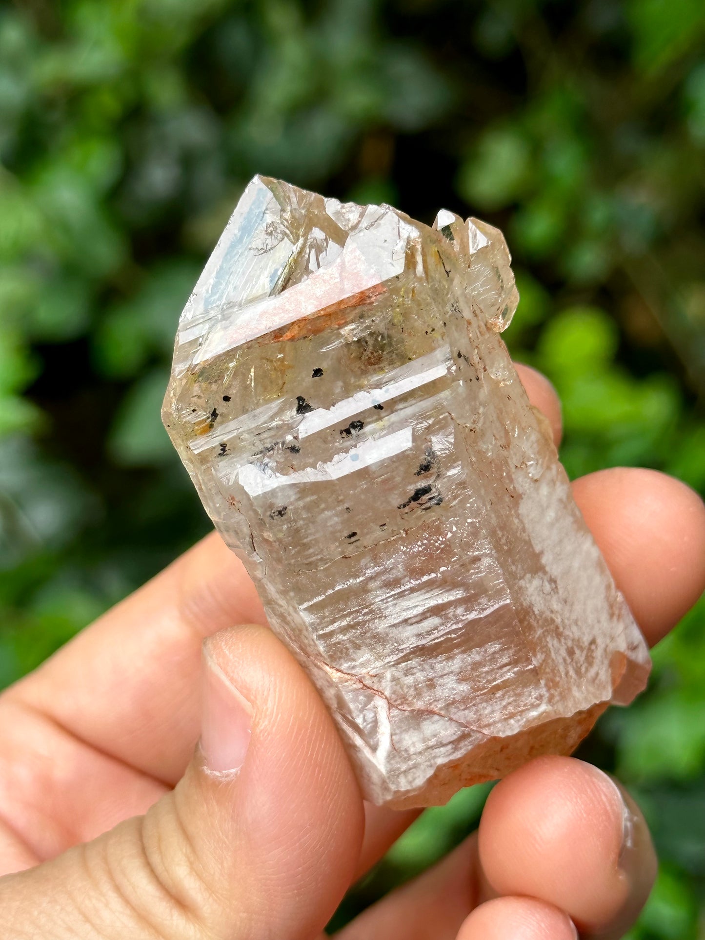 Fluorescent Skeletal Nirvana Quartz Crystal Point with Red Mud-from Madagascar Scepter crystal/Energy Quartz/Palm Stone Crystal- 61*33*24 mm 63 g