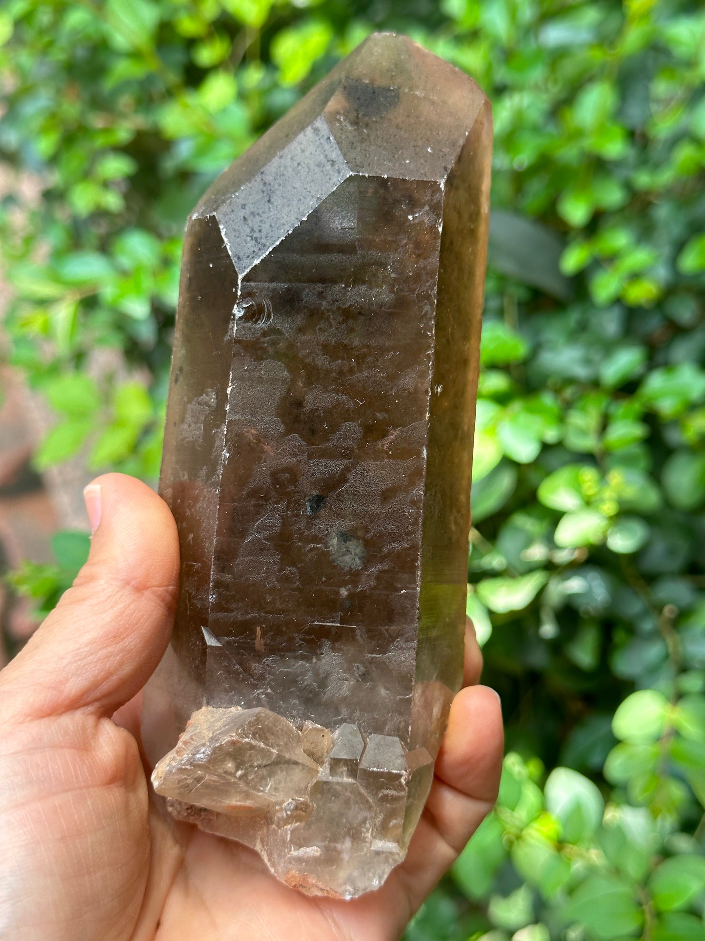 Time Links Smokey Quartz Crystal Point with Golden Rutile+Specularite Inclusion/Powerful Engergy Quartz /Healing Stone/Reiki/Chakra/Zen-541g