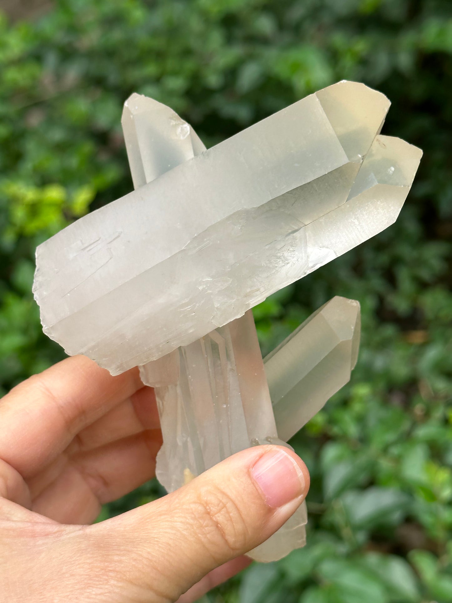 Rare Raw Bridge Quartz Crystal Cluster/Tantric twins+Time Links+Transmitter Quartz/Healing Crystal and Stone-117*46*89 mm 309 g