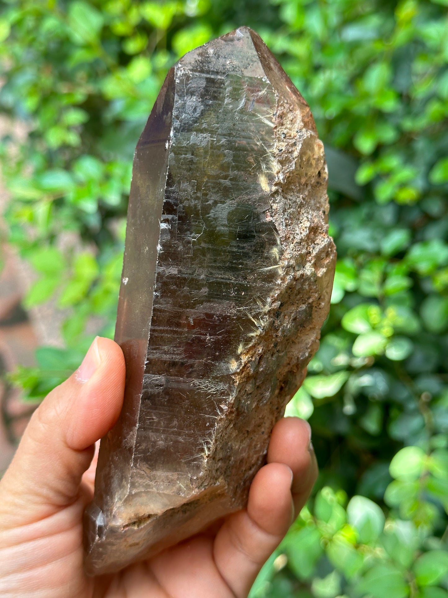 Time Links Smokey Quartz Crystal Point with Golden Rutile+Specularite Inclusion/Powerful Engergy Quartz /Healing Stone/Reiki/Chakra/Zen-541g