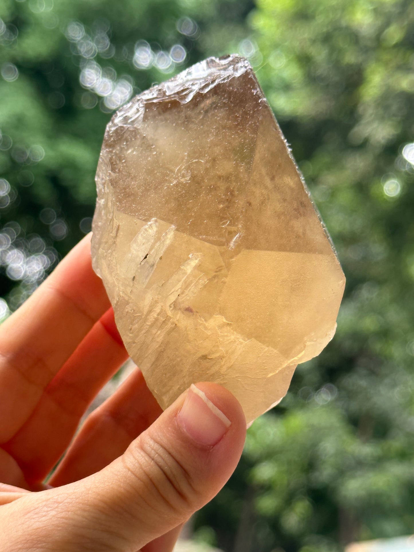 307 g Natural Citrine Record-keeper Quartz Crystal Point