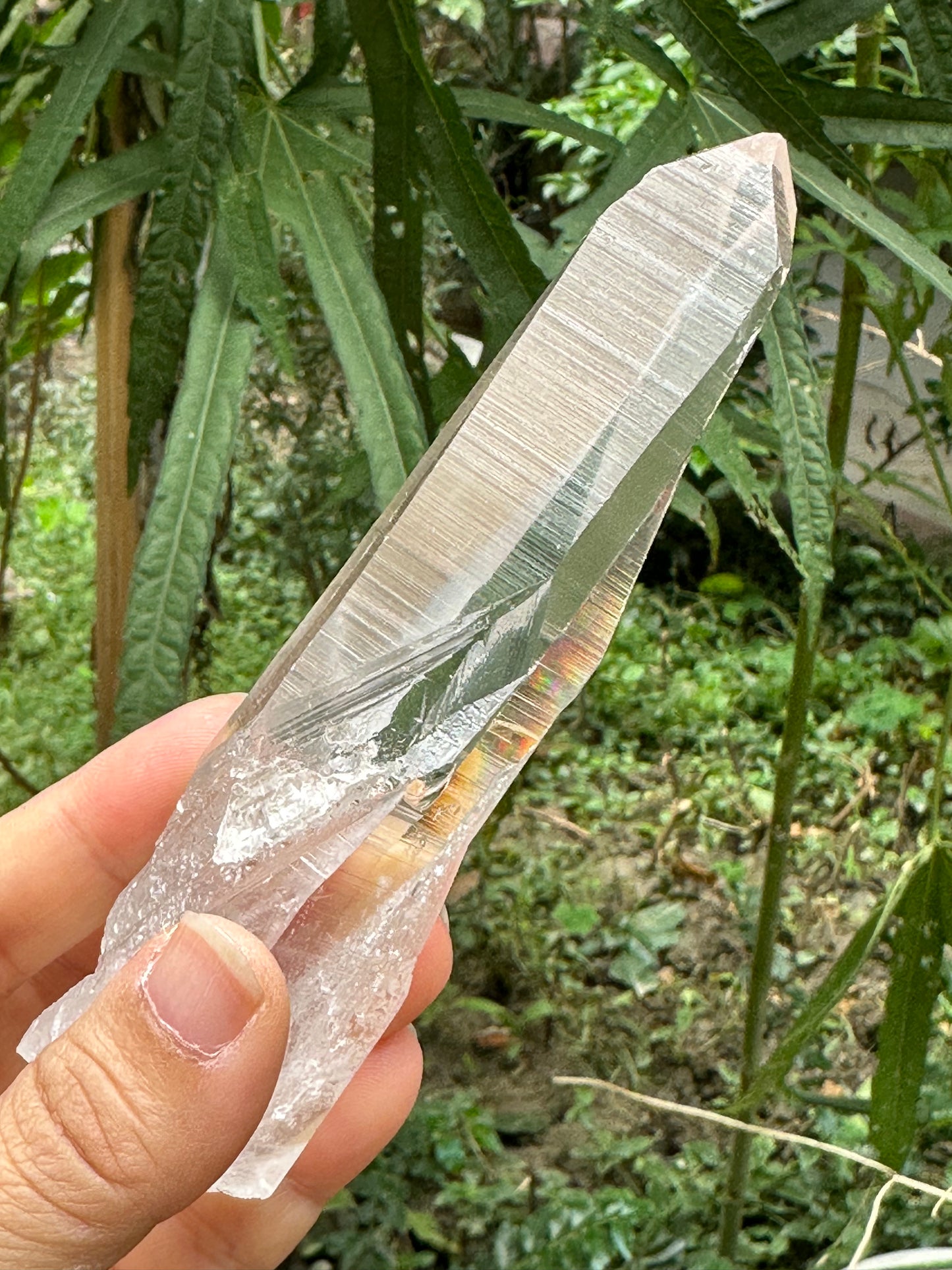 Muzo Habit Quartz Crystal Point/Laser Quartz/Lemurian Seed Quartz Crystal