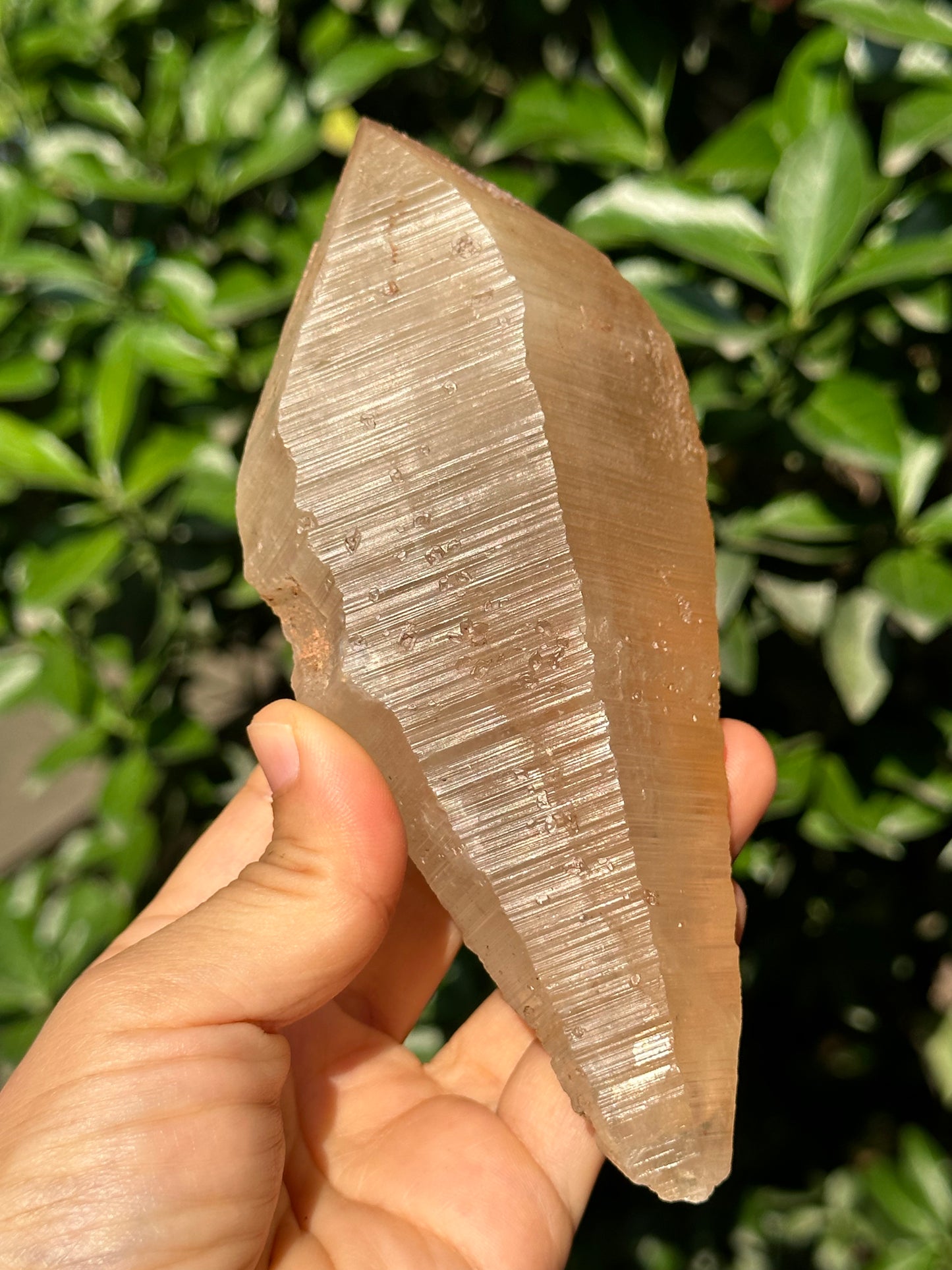 415 g Rare Double Terminated Lemurian Quartz Nirvana Crystal,Meditation,Energy Crystal