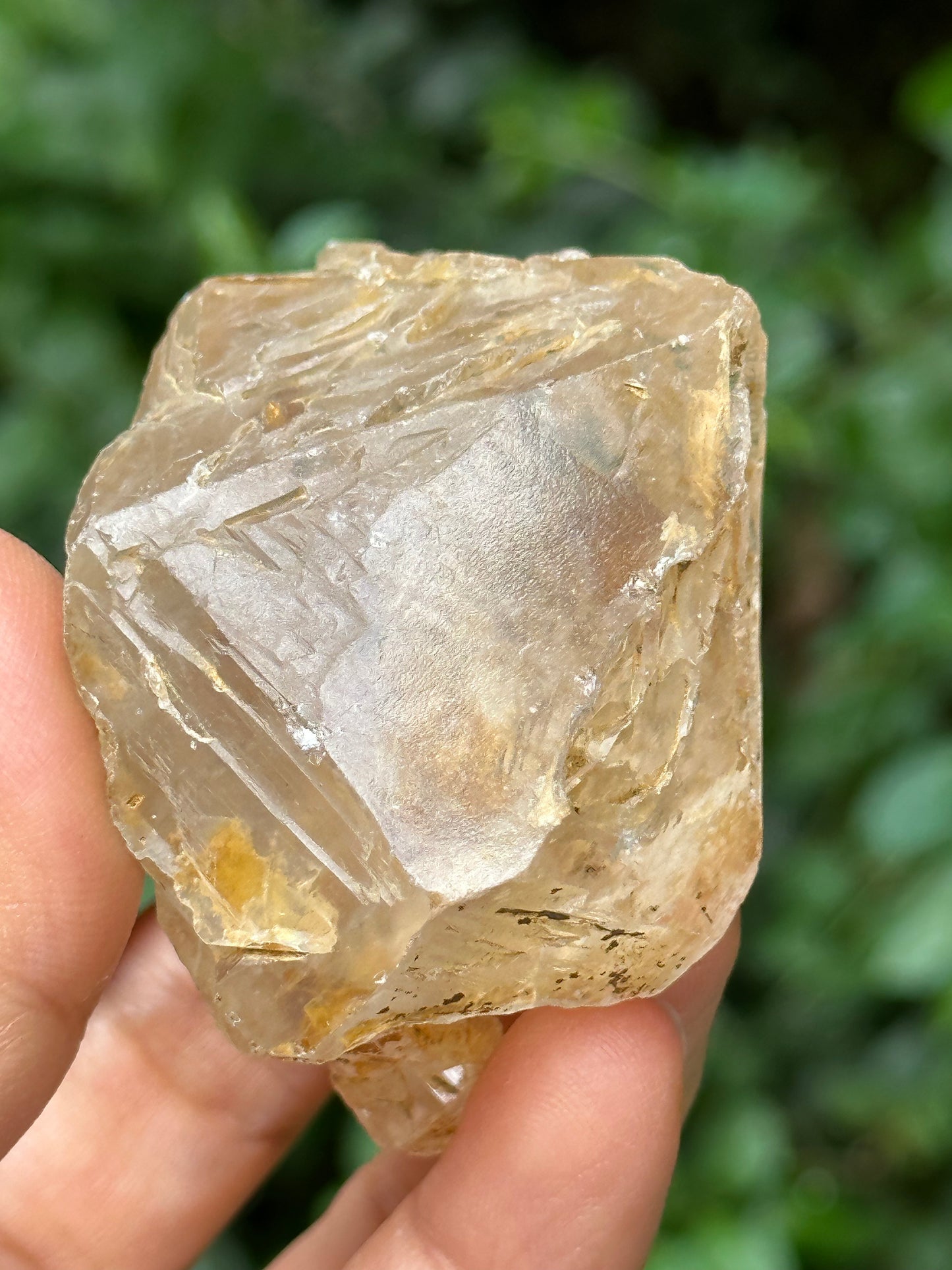 Natural Fenster Crystal Skeletal Quartz Point with golden soil-from Himalayas,Nirvana crystal/Energy Quartz-47*52*42 mm 101 g