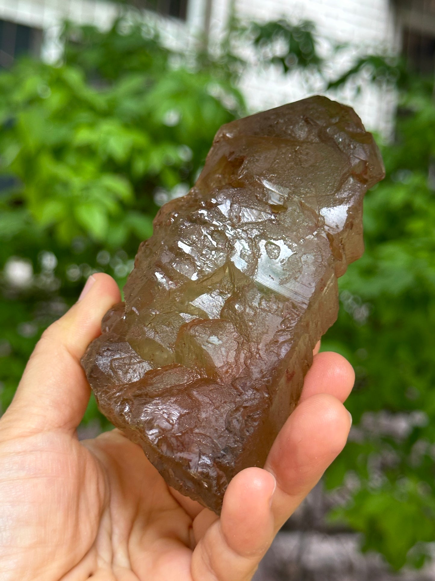 Raw Clear Record-keeper Nirvana Citrine Crystal Point/Energy Quartz/Crystal Healing -115*56*40 mm 410