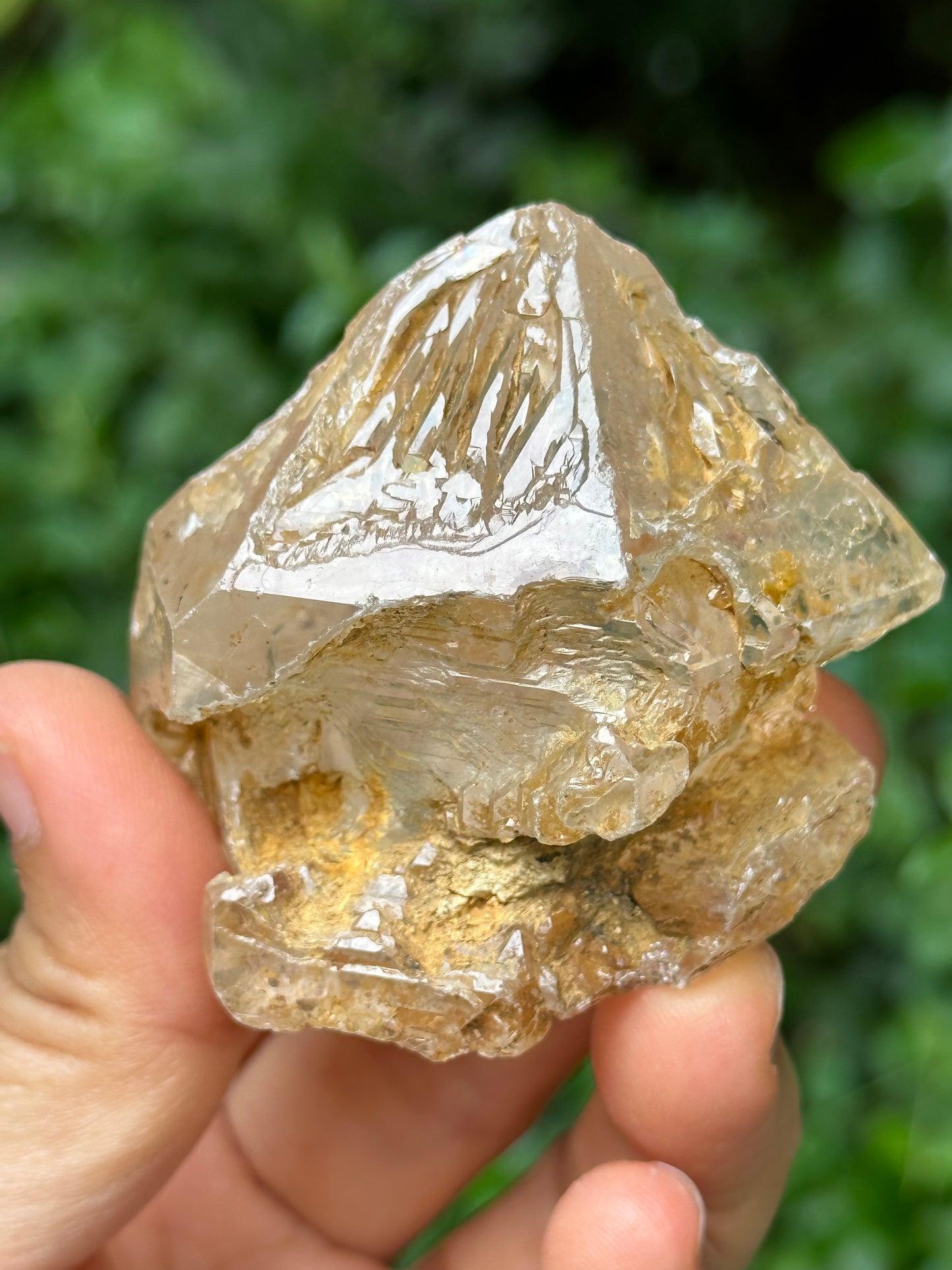 Natural Fenster Crystal Skeletal Quartz Point with golden soil-from Himalayas,Nirvana crystal/Energy Quartz-47*52*42 mm 101 g