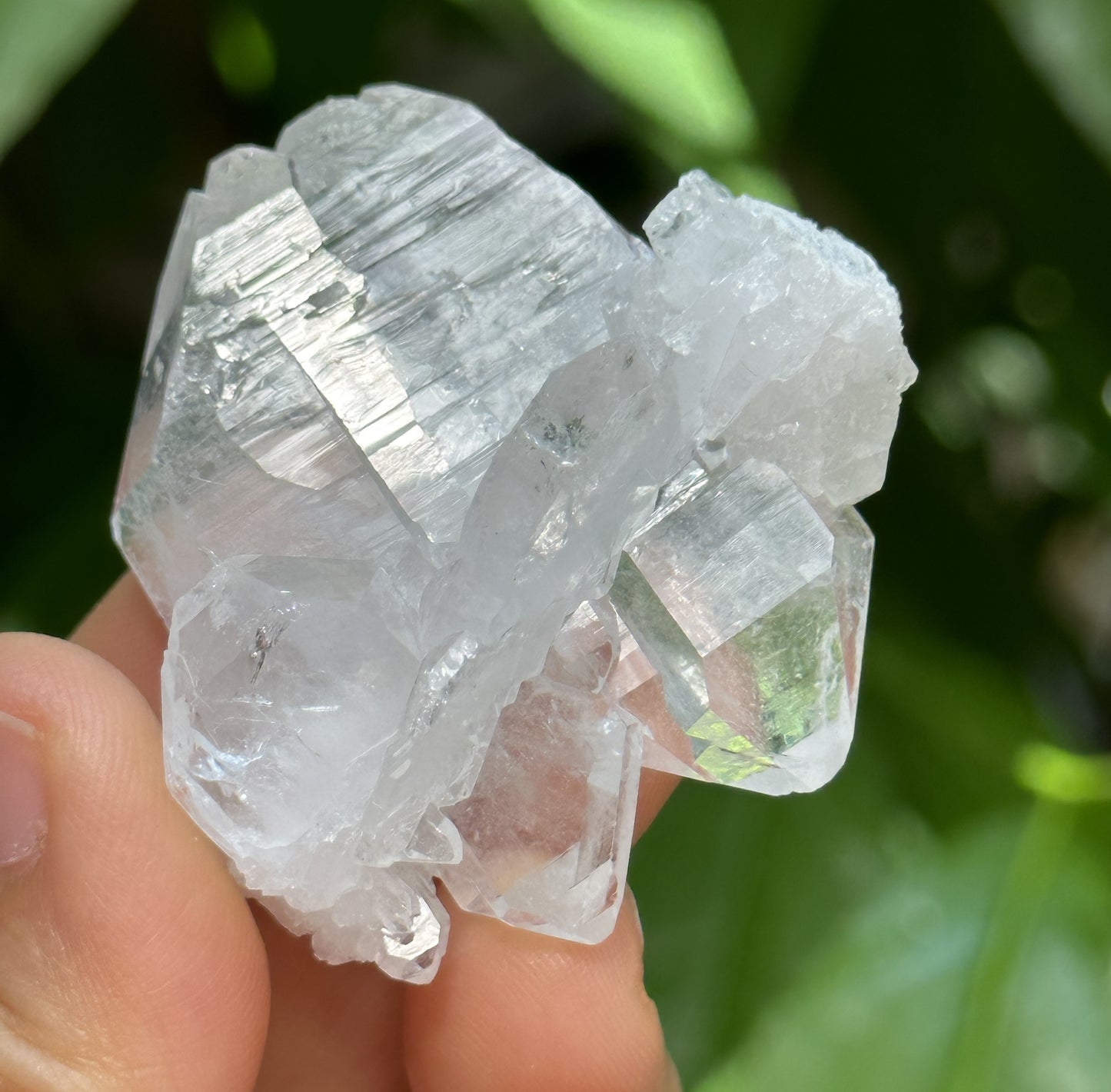 Clear Faden Quartz Tabular Crystal Cluster