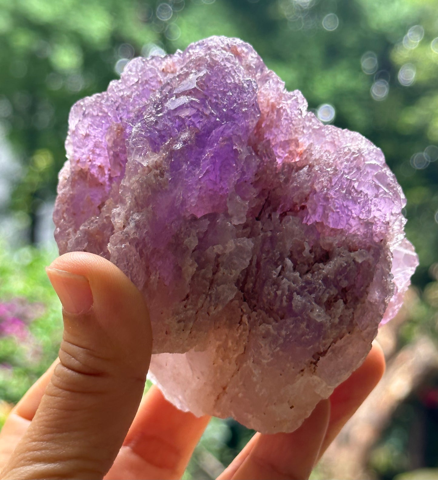 Rare Nirvana Amethyst Quartz Crystal Point/Dissolution Quartz Amethyst/Violet Clear Amethyst/Specimen/Special Gift-468 g