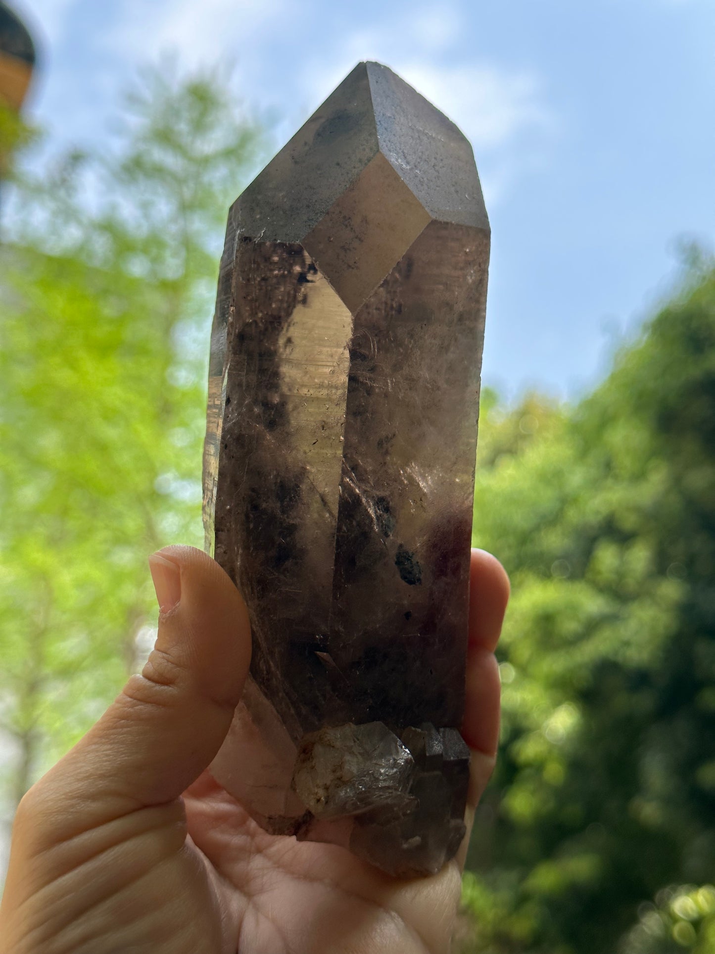 Time Links Smokey Quartz Crystal Point with Golden Rutile+Specularite Inclusion/Powerful Engergy Quartz /Healing Stone/Reiki/Chakra/Zen-541g