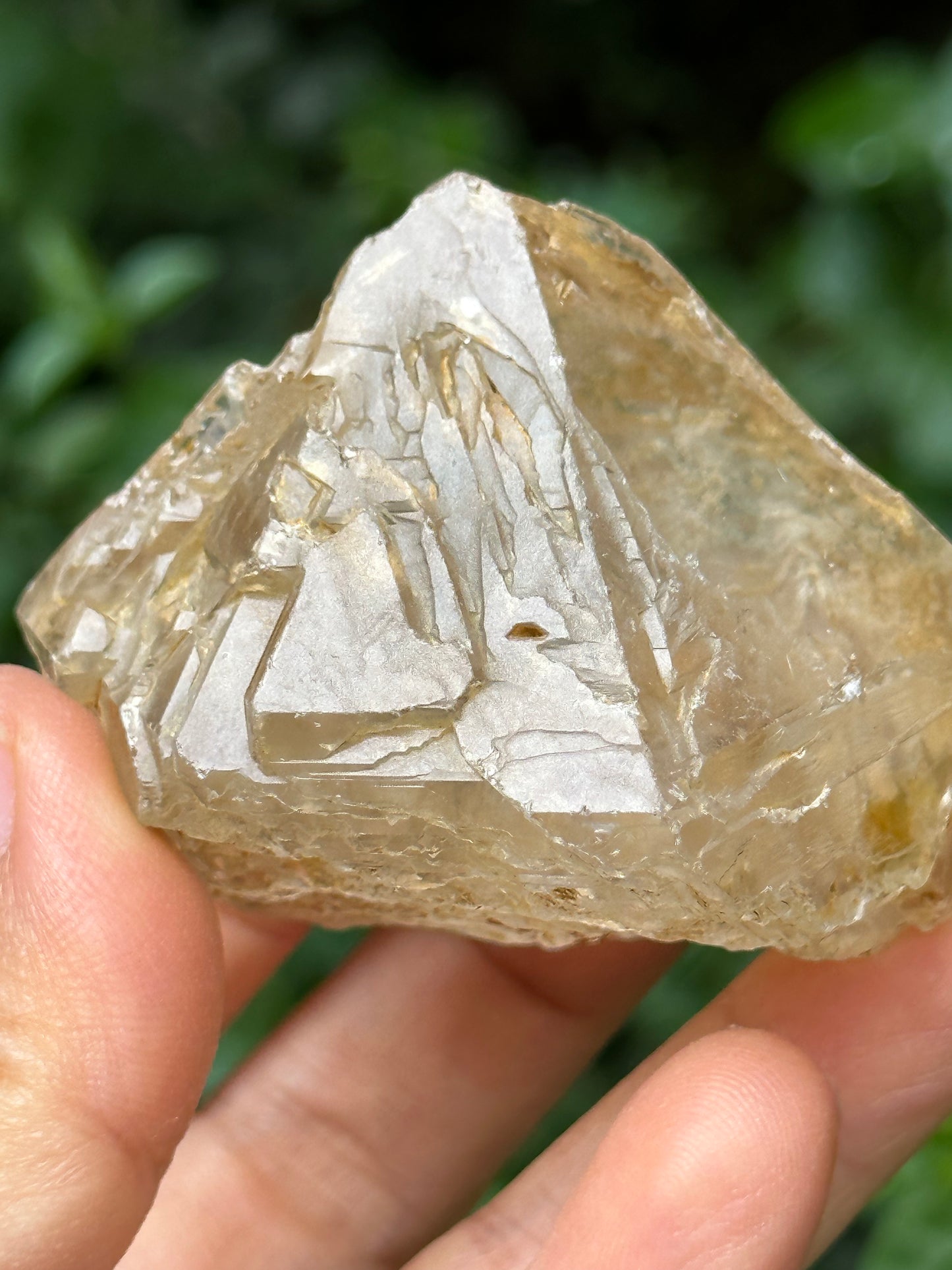 Natural Fenster Crystal Skeletal Quartz Point with golden soil-from Himalayas,Nirvana crystal/Energy Quartz-47*52*42 mm 101 g