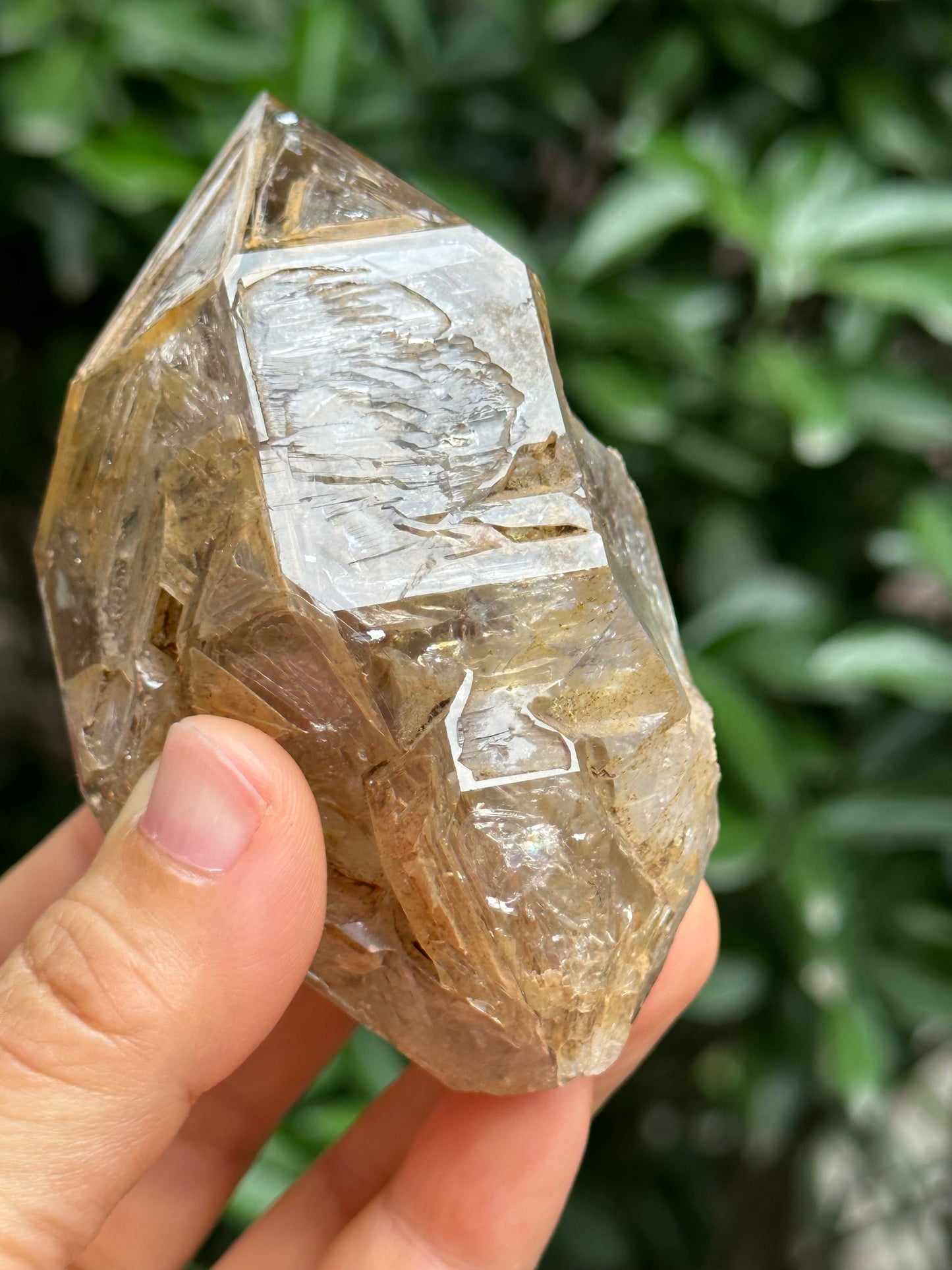 Rare Double Terminated Fenster Skeletal Quartz Crystal/Himalayan Energy Quartz Crystal-85*54*43 mm 188 g