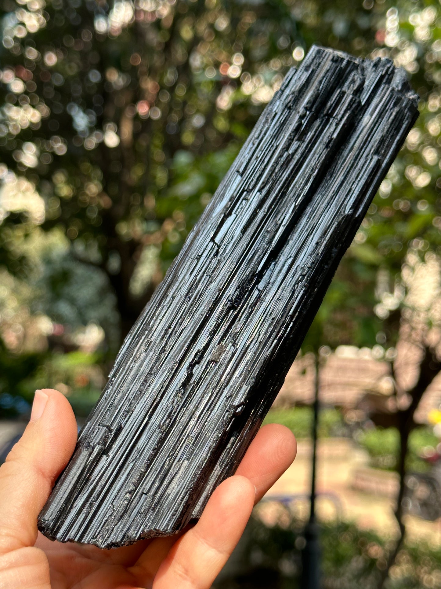 8.2 " Natural LONG & LARGE Raw Black Tourmaline Crystal Point/Shining Tourmaline Specimen-208*53*43 mm 860 g