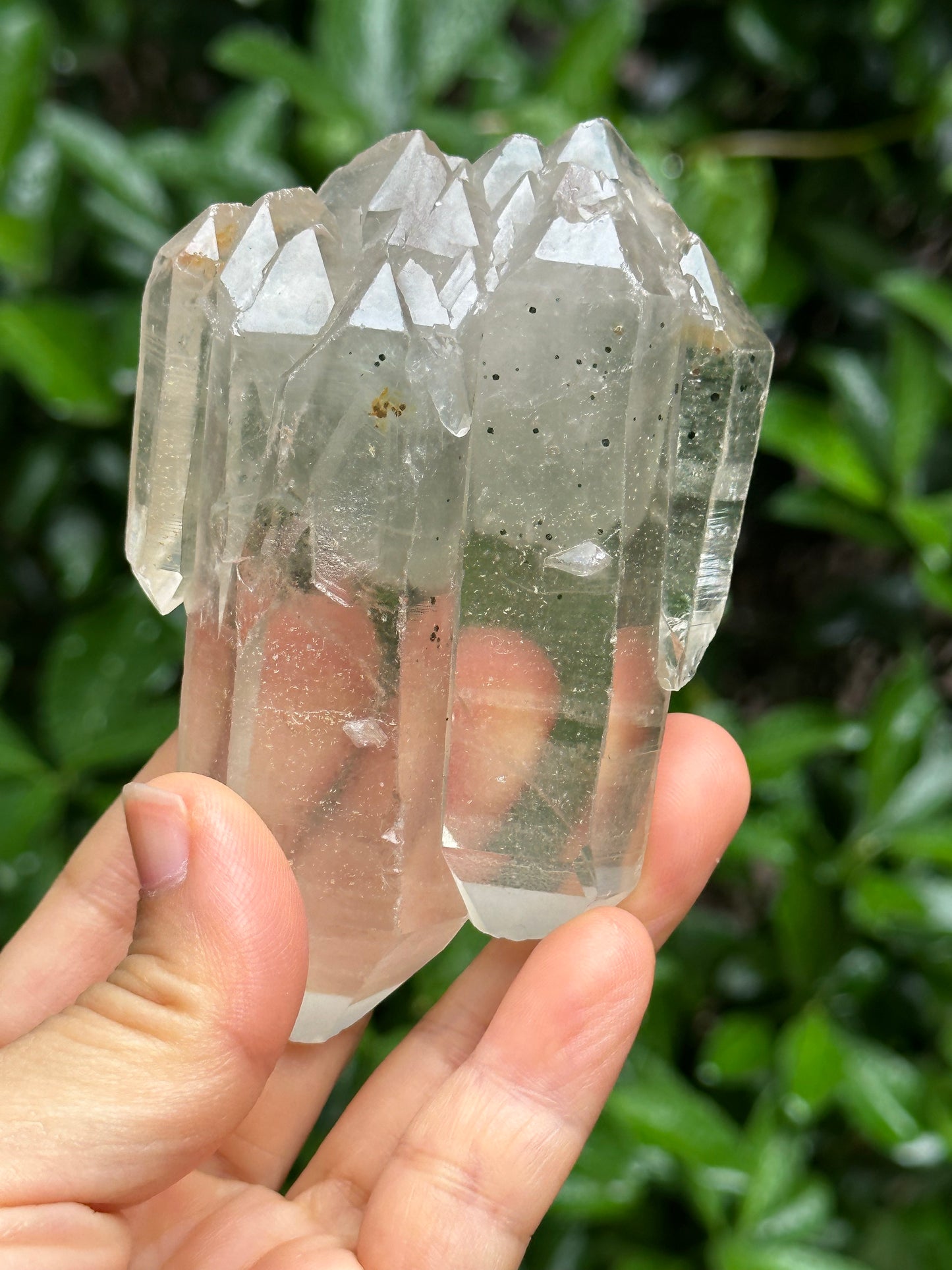 Rare Tabular Multiple Double Terminated Quartz Crystals with Light Green Phantom Included,Chlorite Pyramid Including