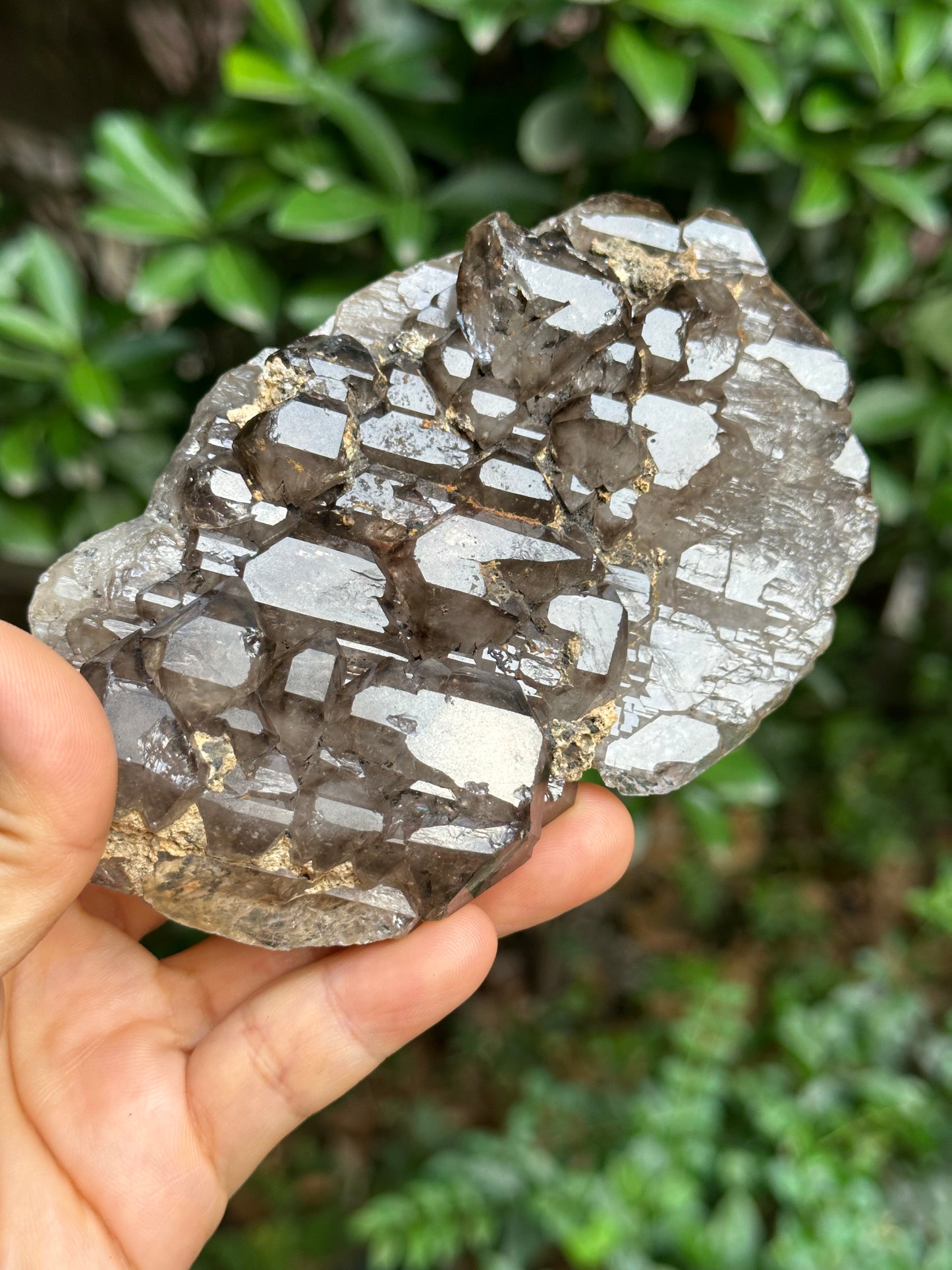 294 g Rare Double Terminated Double Sided Smokey Quartz Crystal Plate