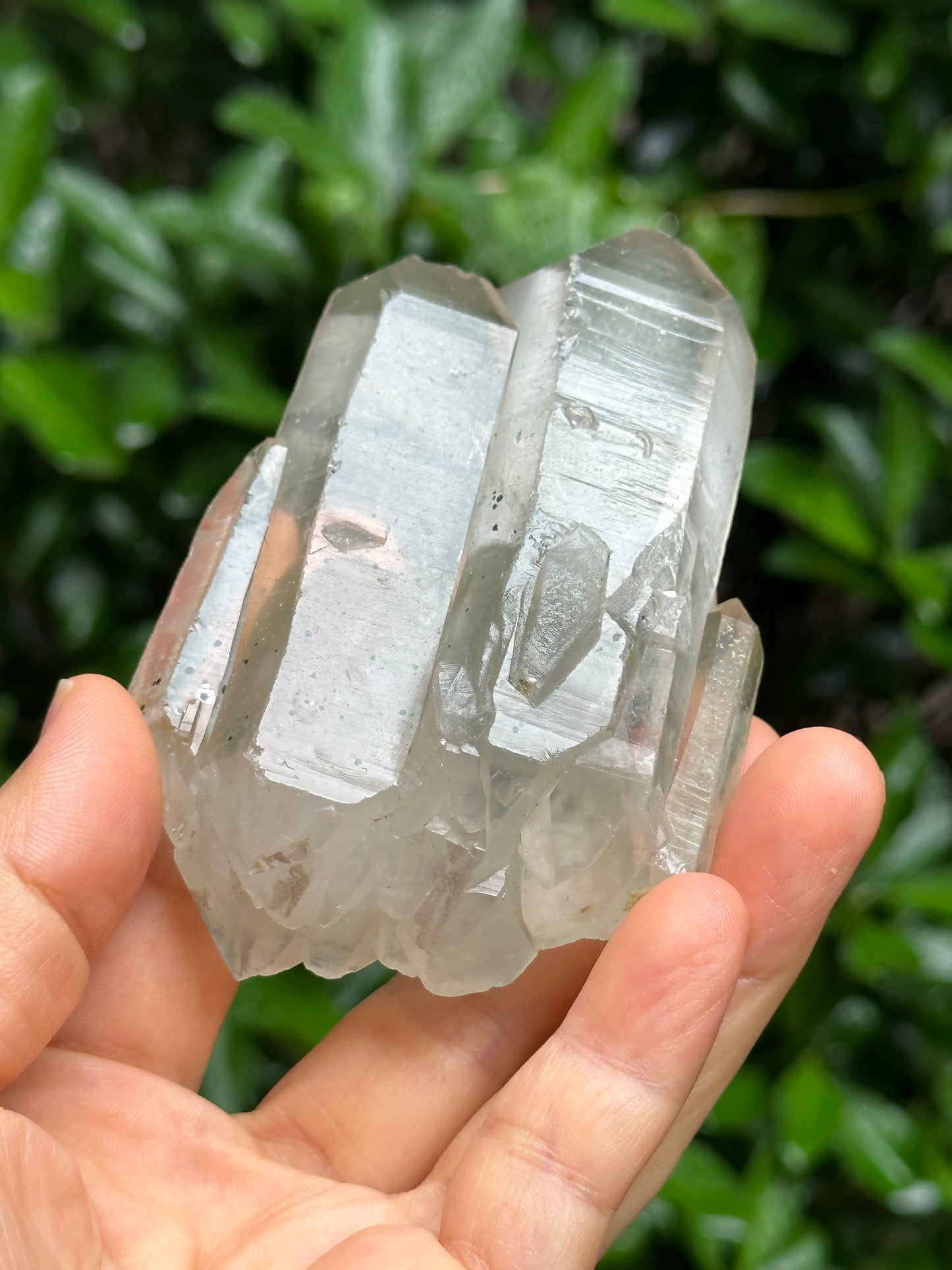 Rare Tabular Multiple Double Terminated Quartz Crystals with Light Green Phantom Included,Chlorite Pyramid Including