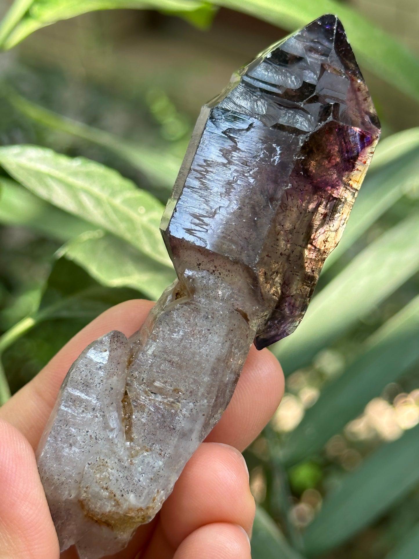 Rare Clear Super 7 Amethyst Quartz Scepter Crystal Point/Specimen/Super energy Healing Crystals/Reiki-92*22*27 mm 65 g