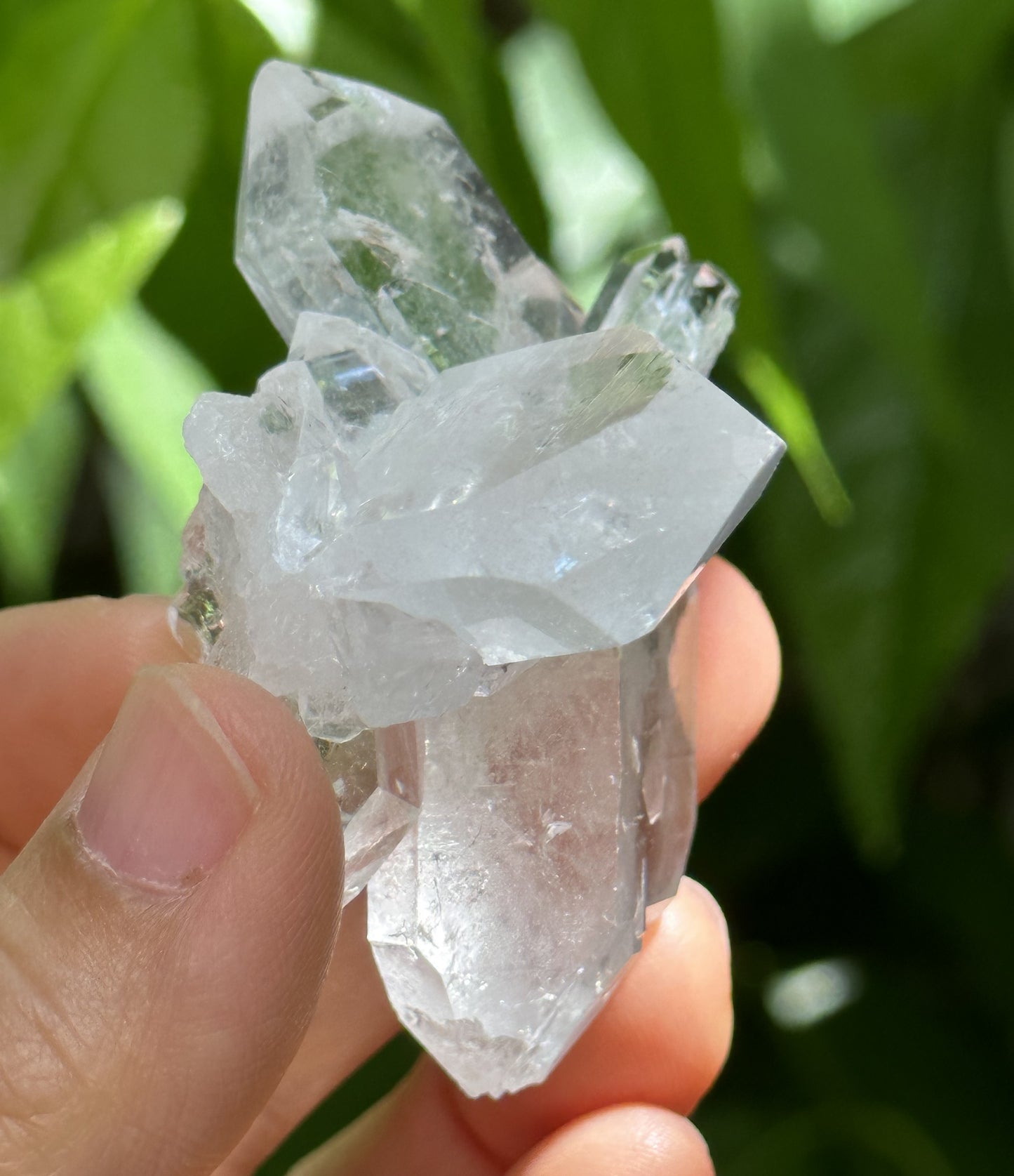 Himalayan Clear Faden Quartz Tabular Crystal Cluster