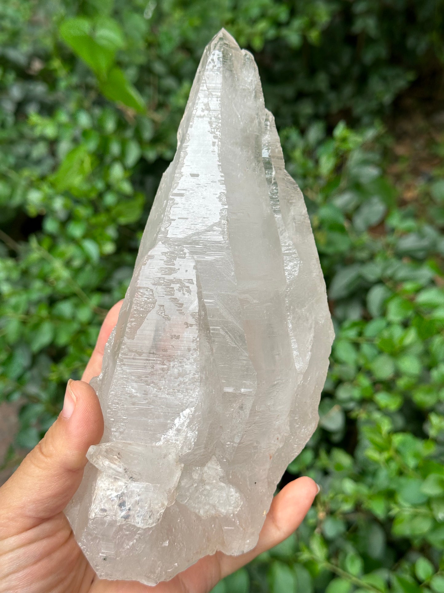 Rare Ice White Himalayan Skeletal Laser Quartz Castle Crystal Cluster/Knife Crystal Point-1125g 194*87*68 mm