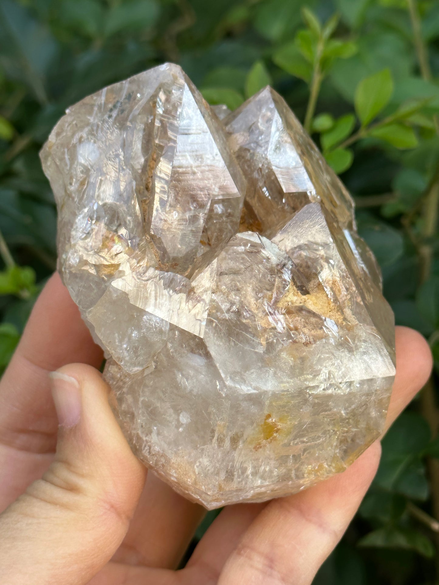 307 g Clear Himalayan Record-keeper Skeletal Quartz Fenster Crystal Cluster