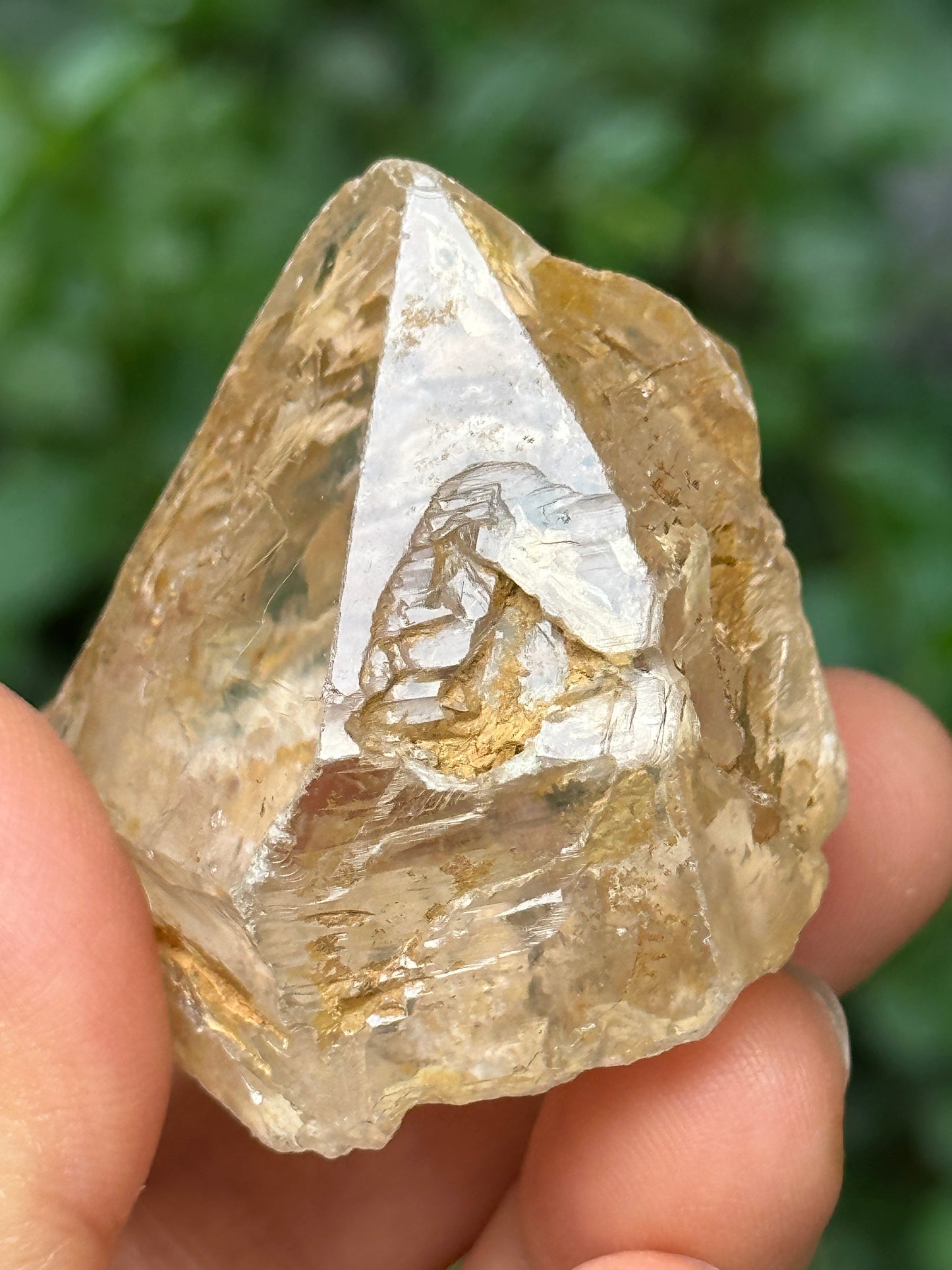 Clear Golden Skeletal Quartz Fenster Crystal Point/Rainbow Quartz/Energy Nirvana Quartz/Reiki/Meditation/Chakra/Zen-66 g