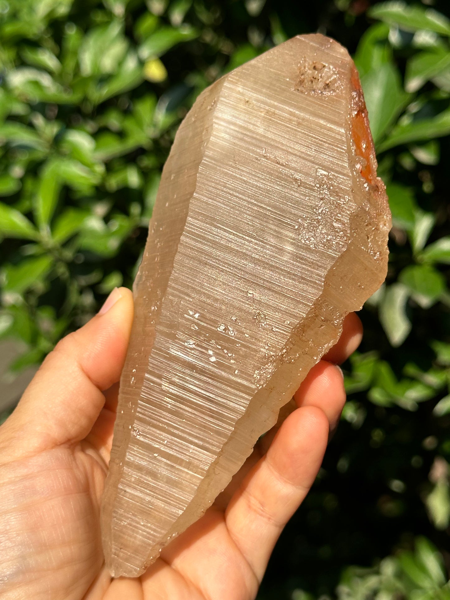 415 g Rare Double Terminated Lemurian Quartz Nirvana Crystal,Meditation,Energy Crystal