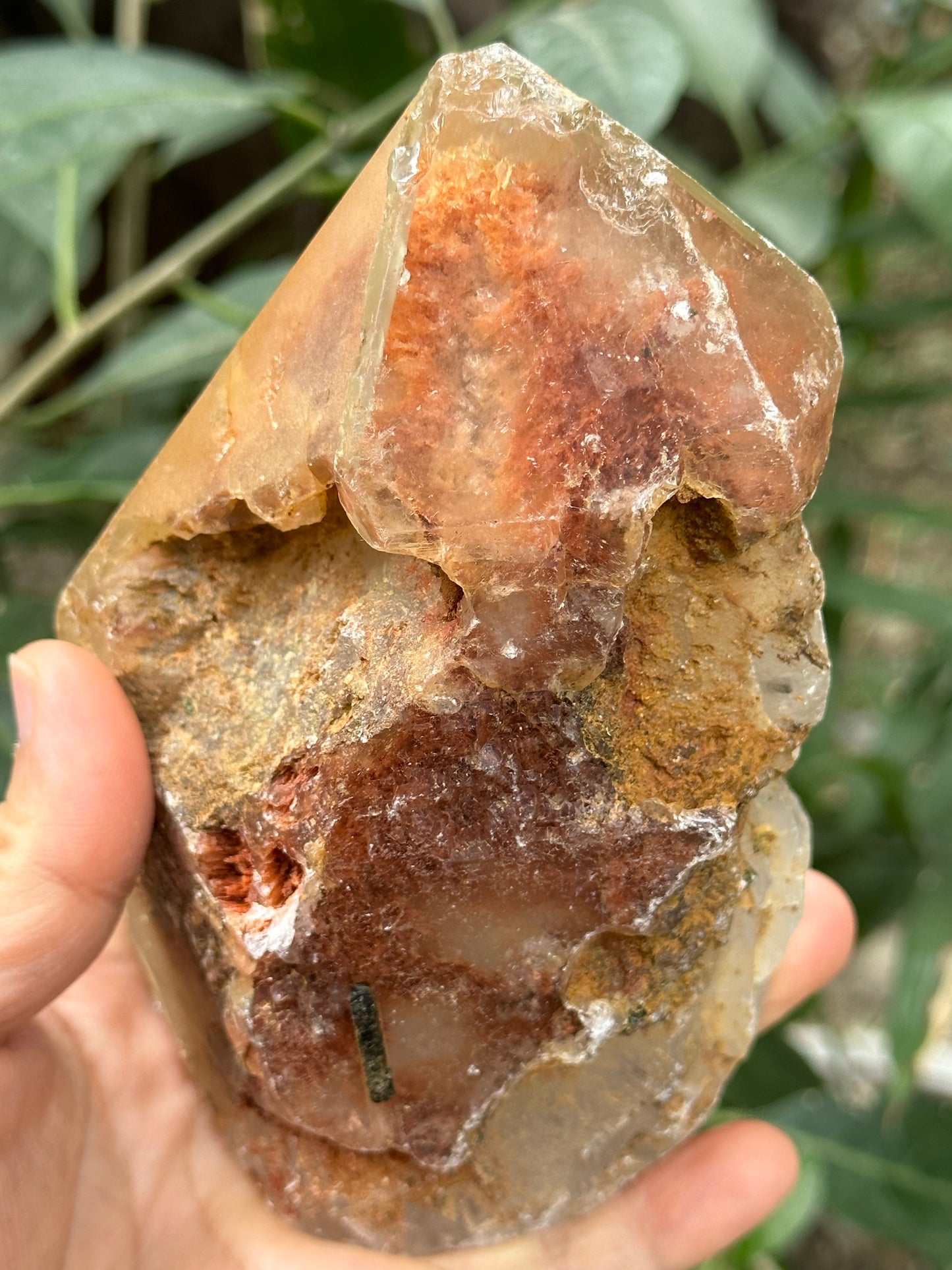 Rare Tangerine Amphibole & Green Tourmaline Grow with Quartz Crystal Point