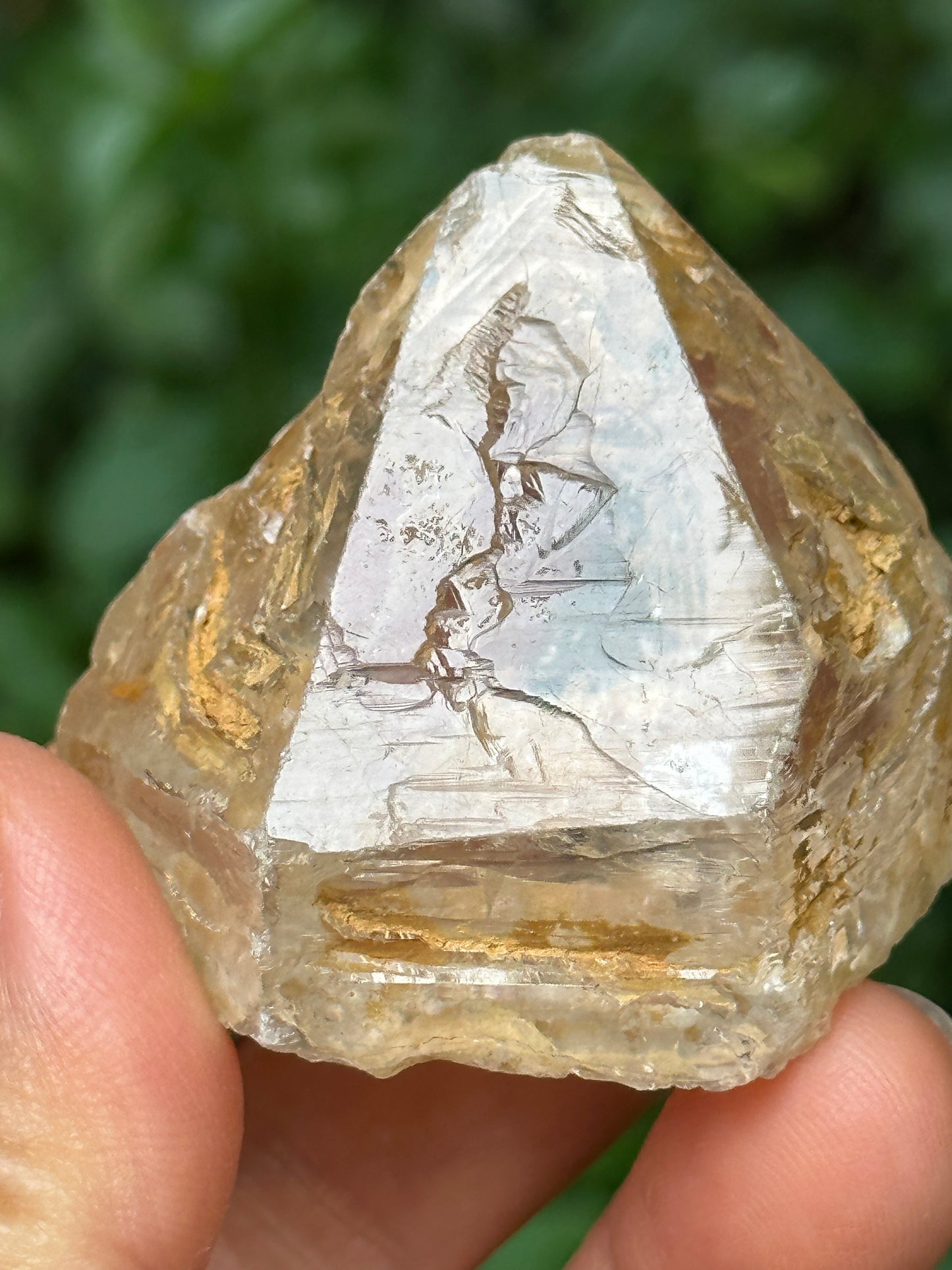 Clear Golden Skeletal Quartz Fenster Crystal Point/Rainbow Quartz/Energy Nirvana Quartz/Reiki/Meditation/Chakra/Zen-66 g