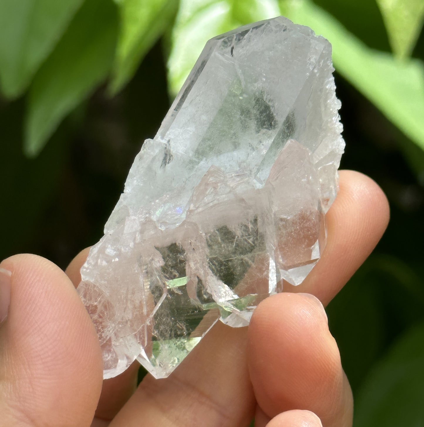 Clear Faden Quartz Tabular Crystal Cluster