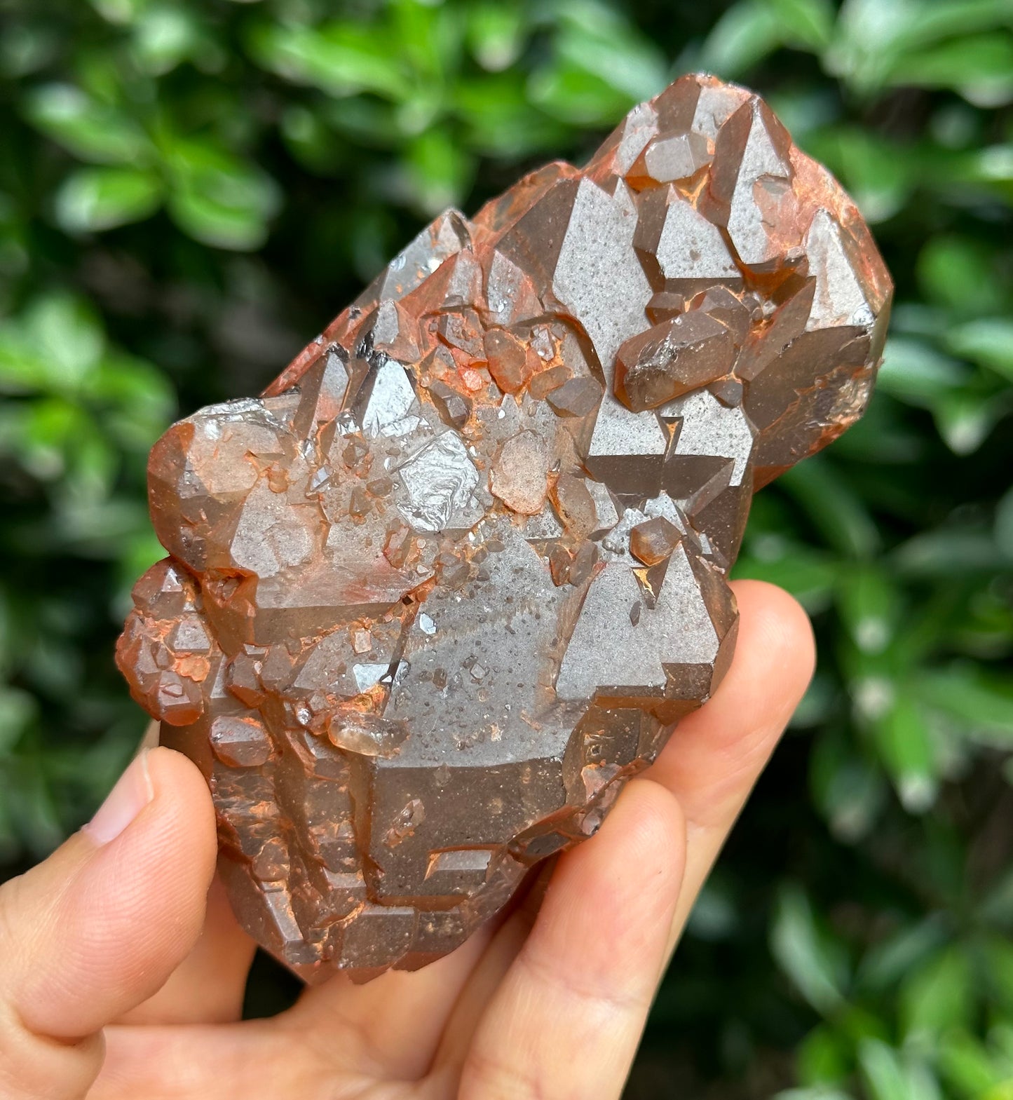 238 g Rare Double Terminated Red Hematite Quartz Elestial Crystal Cluster