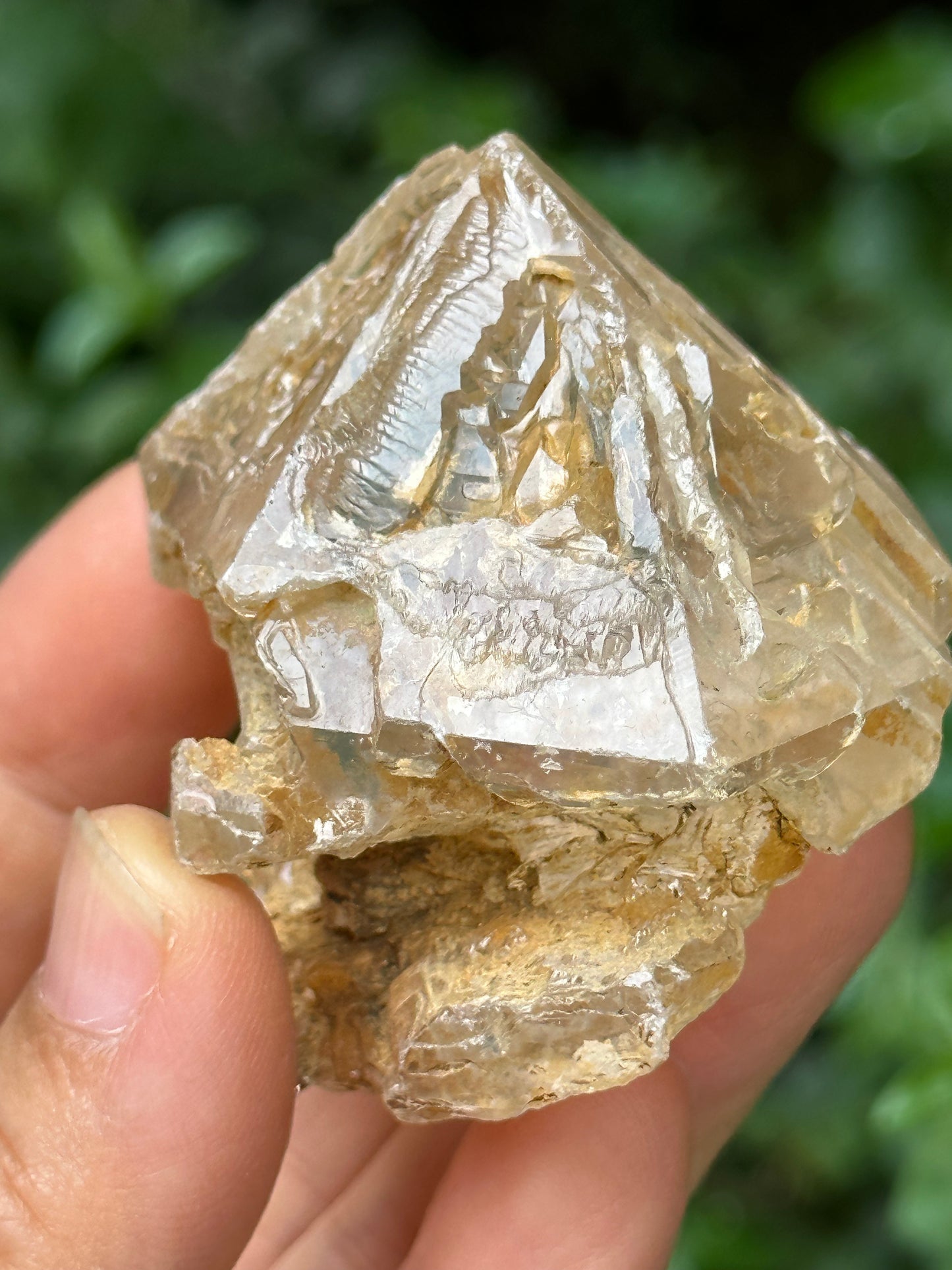 Natural Fenster Crystal Skeletal Quartz Point with golden soil-from Himalayas,Nirvana crystal/Energy Quartz-47*52*42 mm 101 g