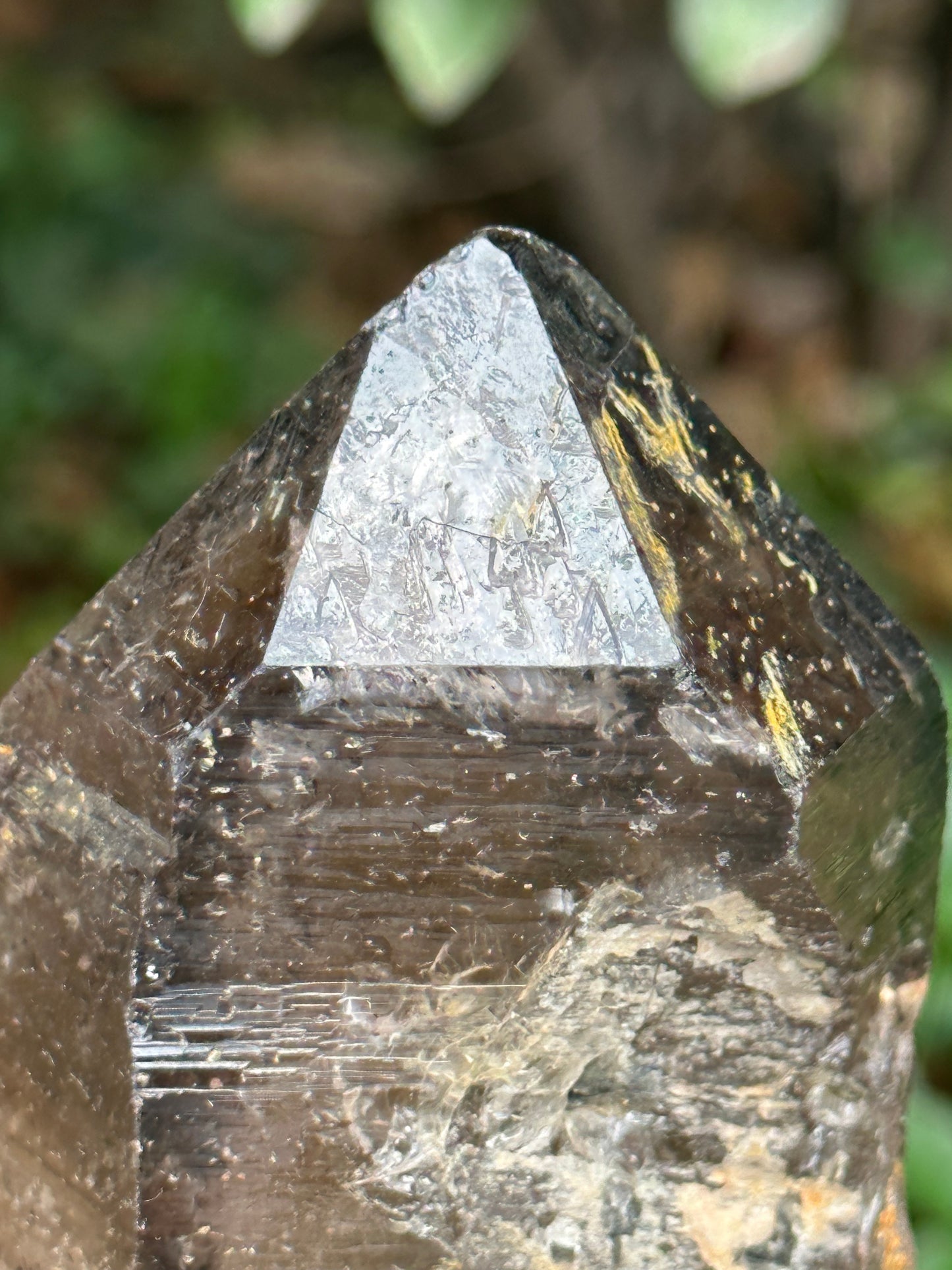 759 g Rare Record-keeper Strawberry Quartz Crystal Point