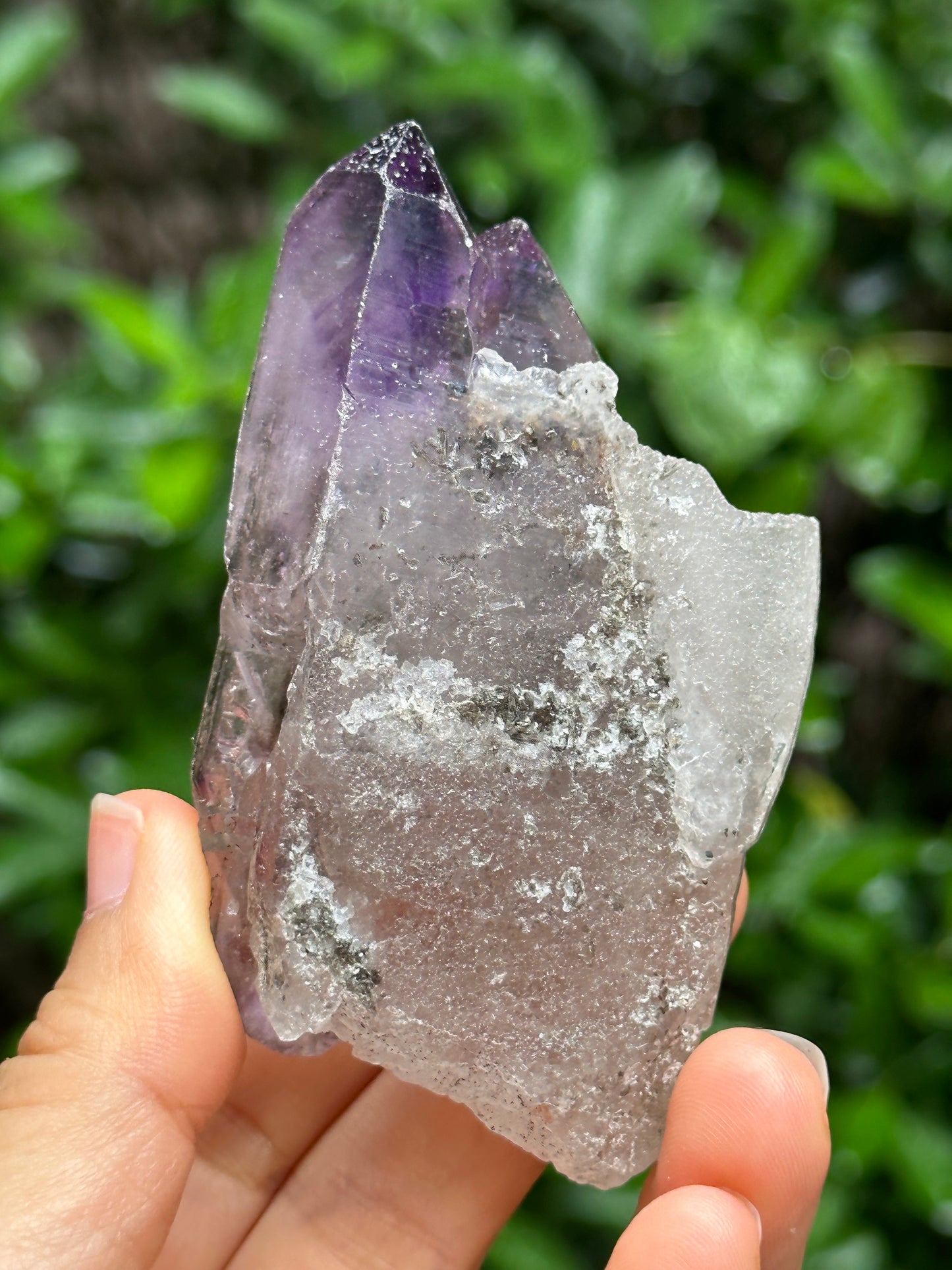 Rare Tabular Double Terminated Super 7 Amethyst Quartz Crystals