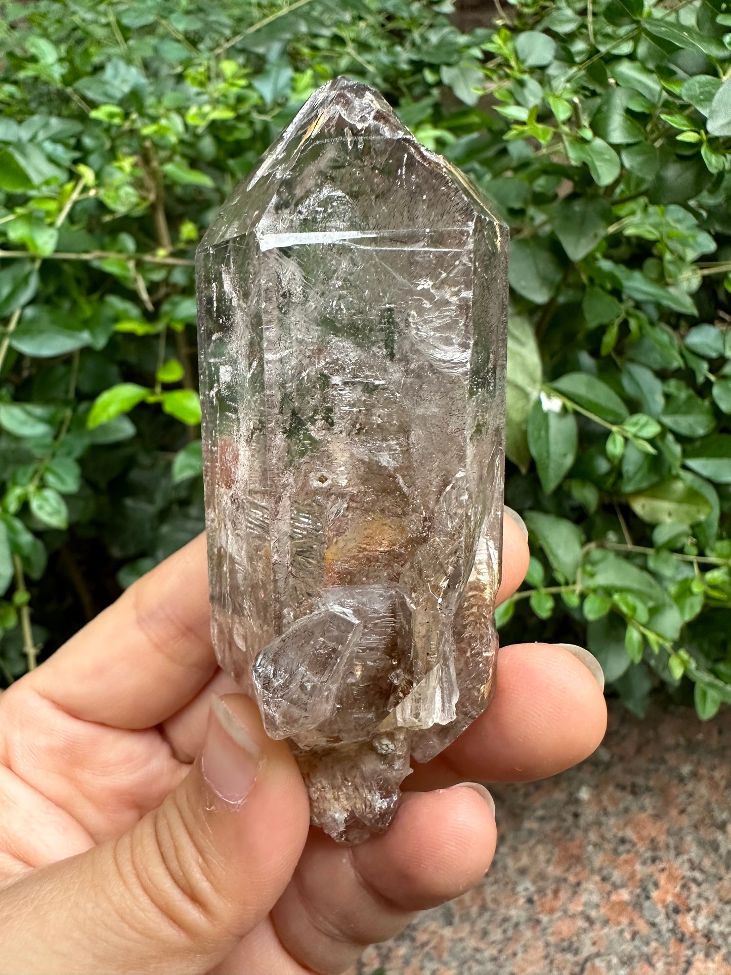 141g Super 7 Skeleton Scepter Amethyst Quartz Crystal Point from Madagascar Super Glass Surface