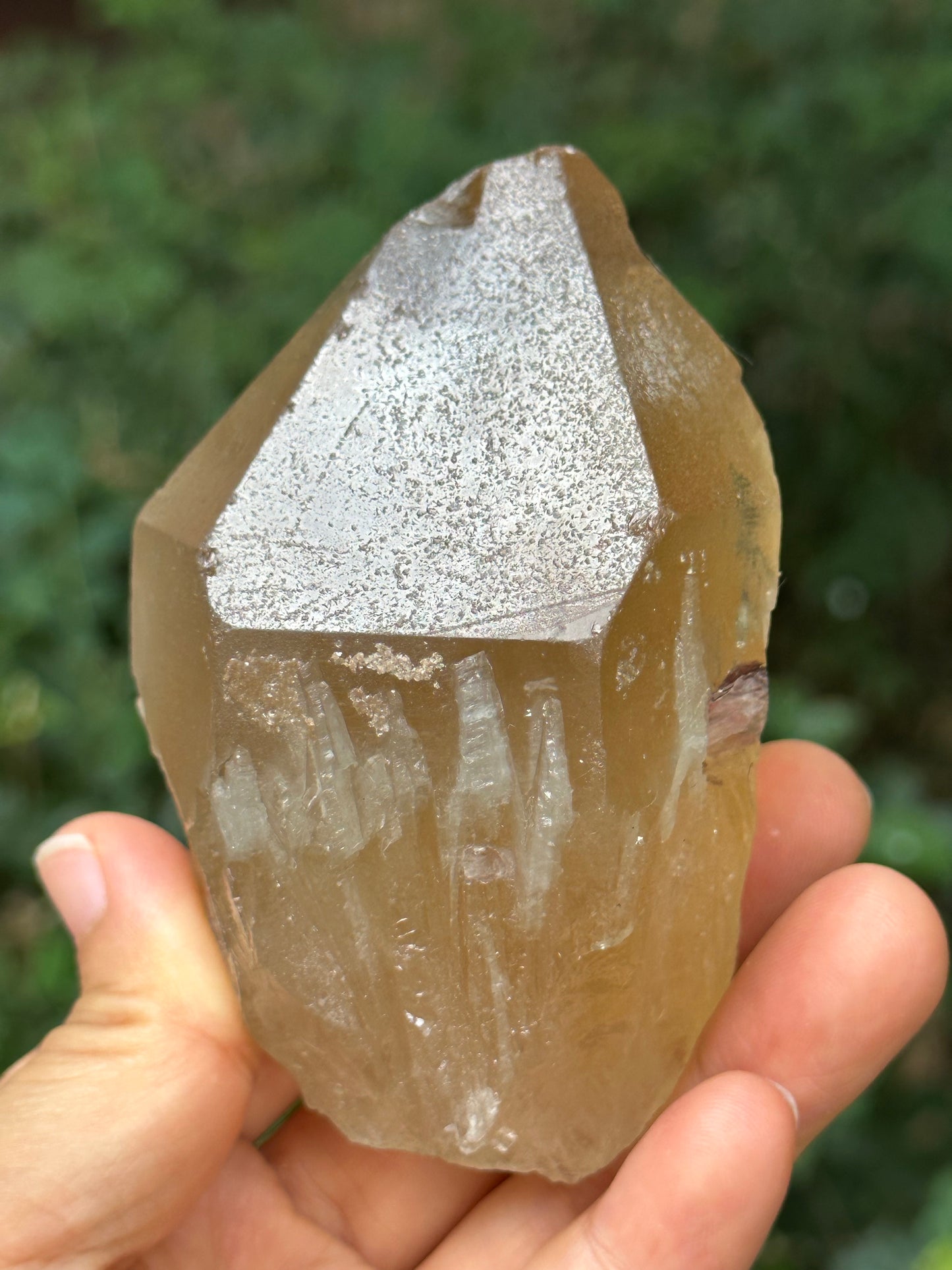 307 g Natural Citrine Record-keeper Quartz Crystal Point