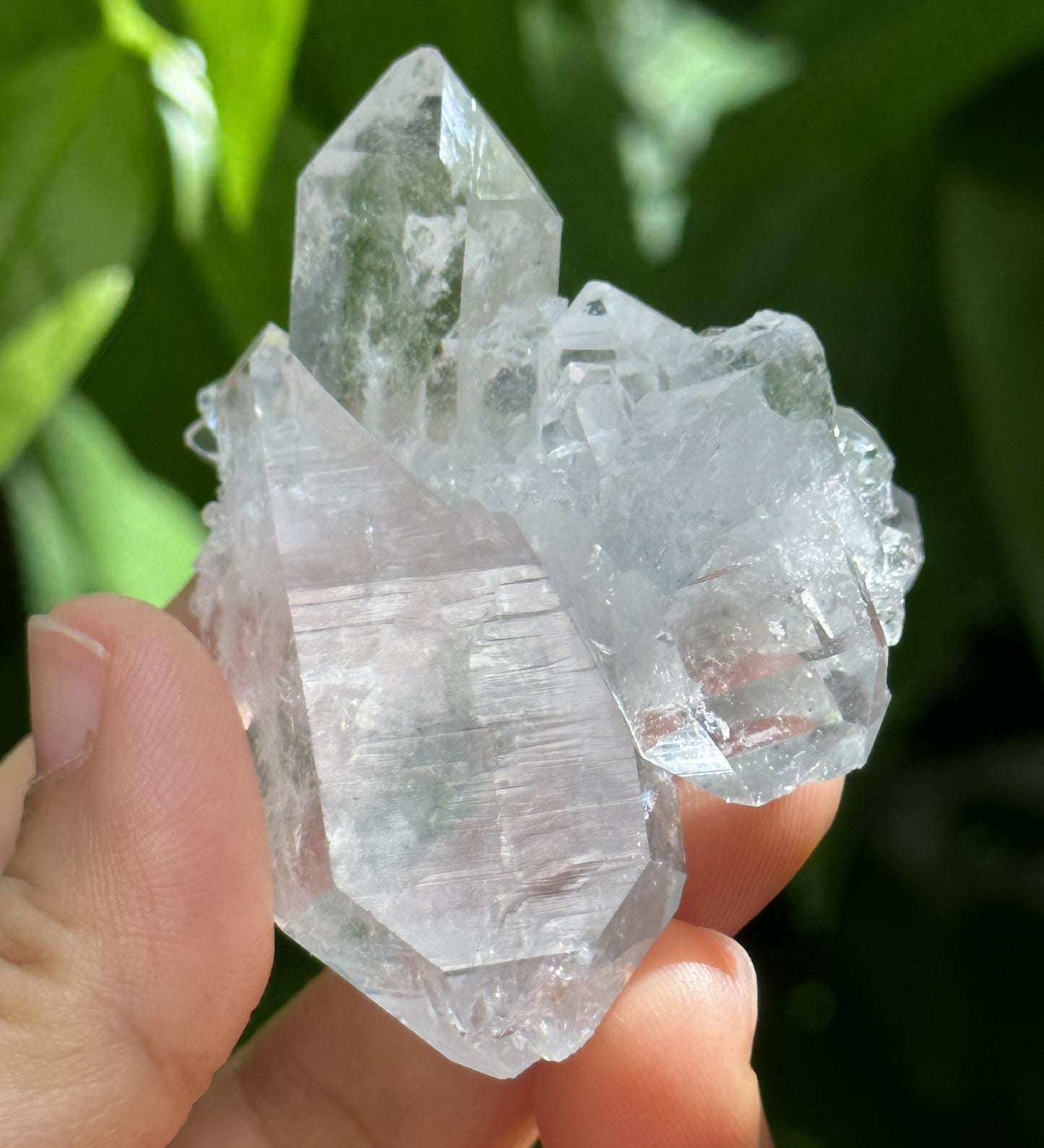 Himalayan Clear Faden Quartz Tabular Crystal Cluster