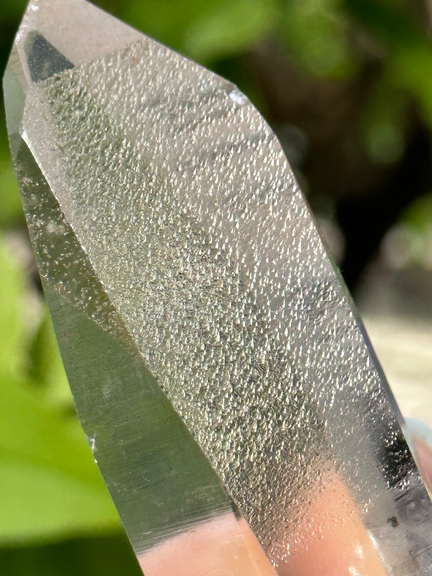 Rare Perfect Clear Record-keeper Lemurian Seed Quartz Crystal With Green Phantom &amp; Silver Rutile Included