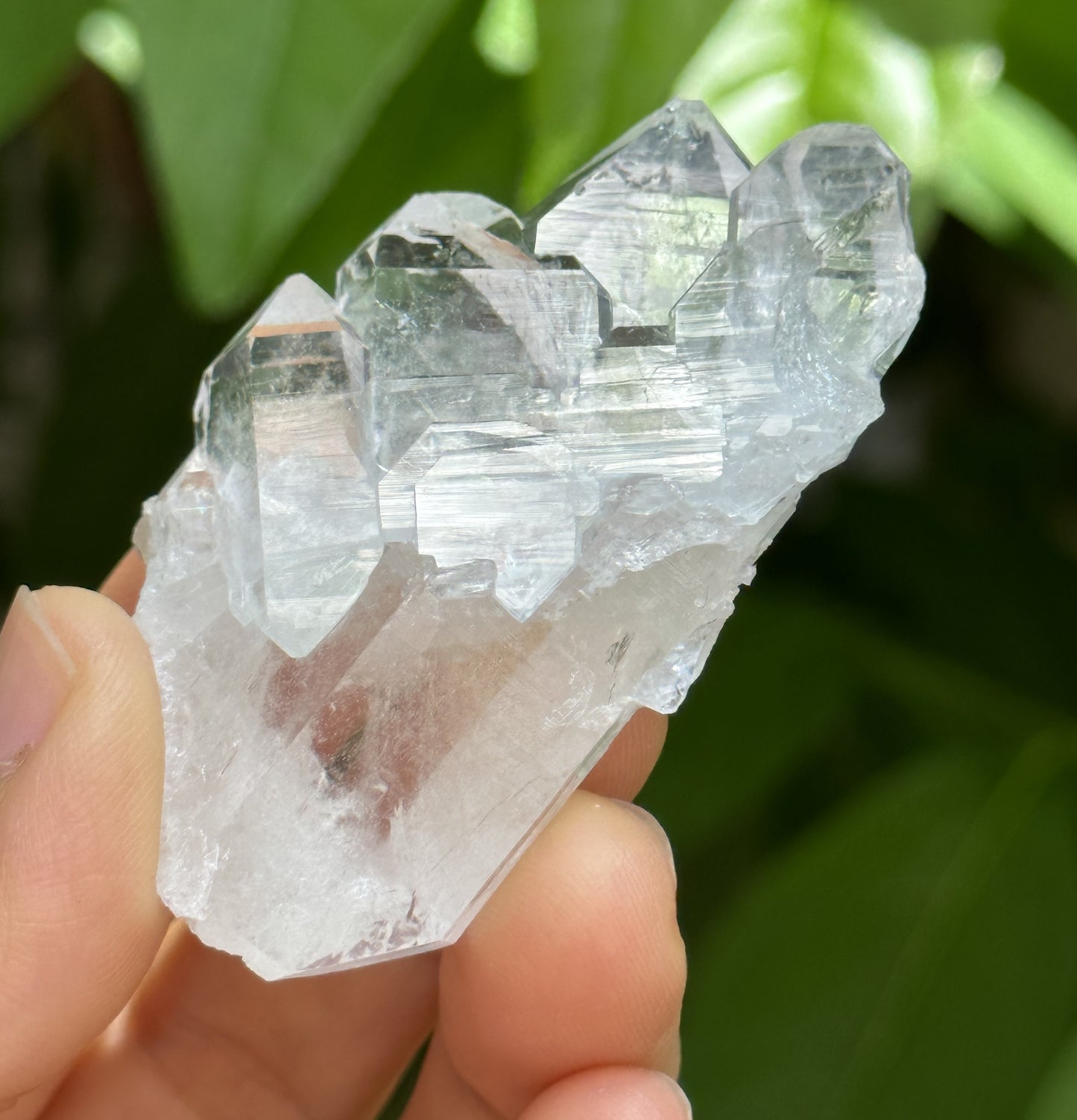 Clear Faden Quartz Tabular Crystal Cluster