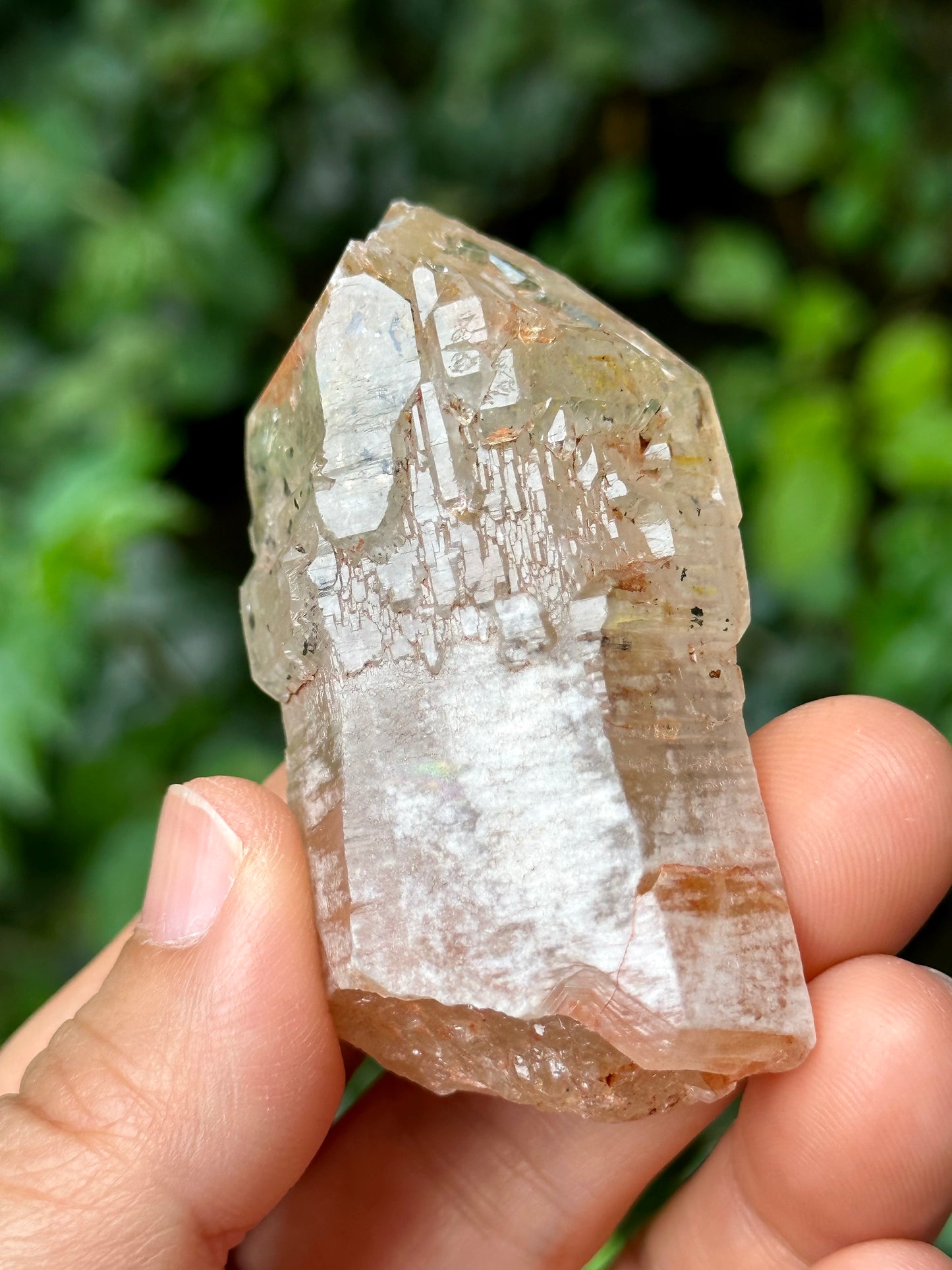 Fluorescent Skeletal Nirvana Quartz Crystal Point with Red Mud-from Madagascar Scepter crystal/Energy Quartz/Palm Stone Crystal- 61*33*24 mm 63 g